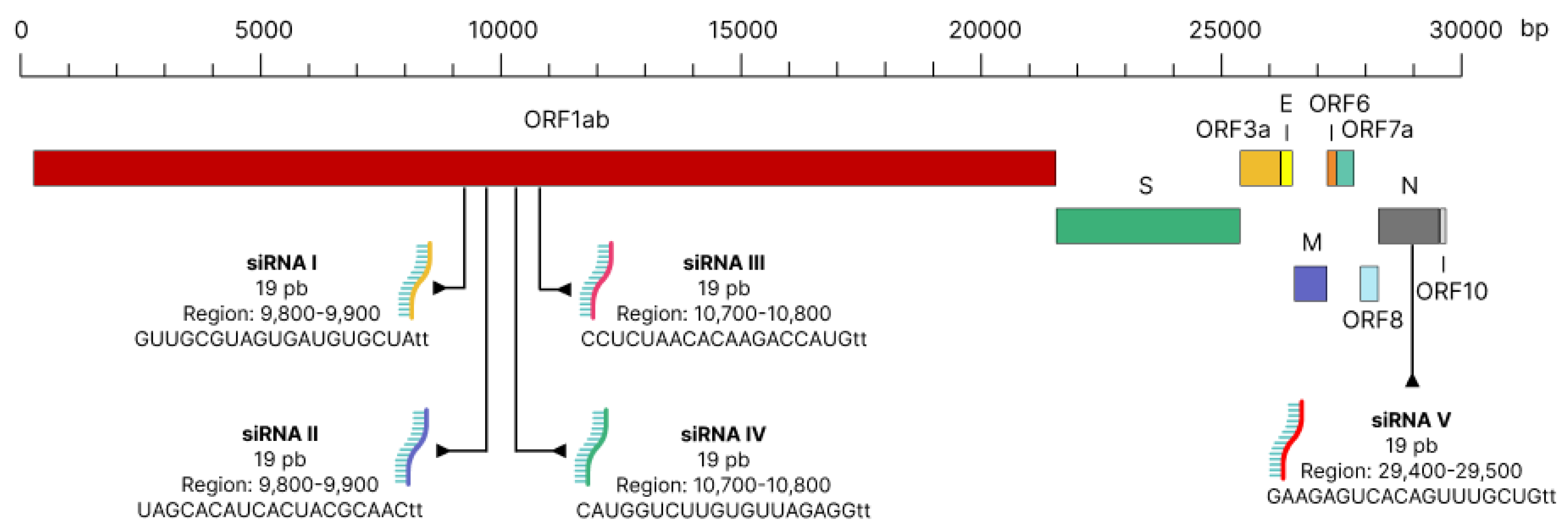 Genes 13 02147 g001