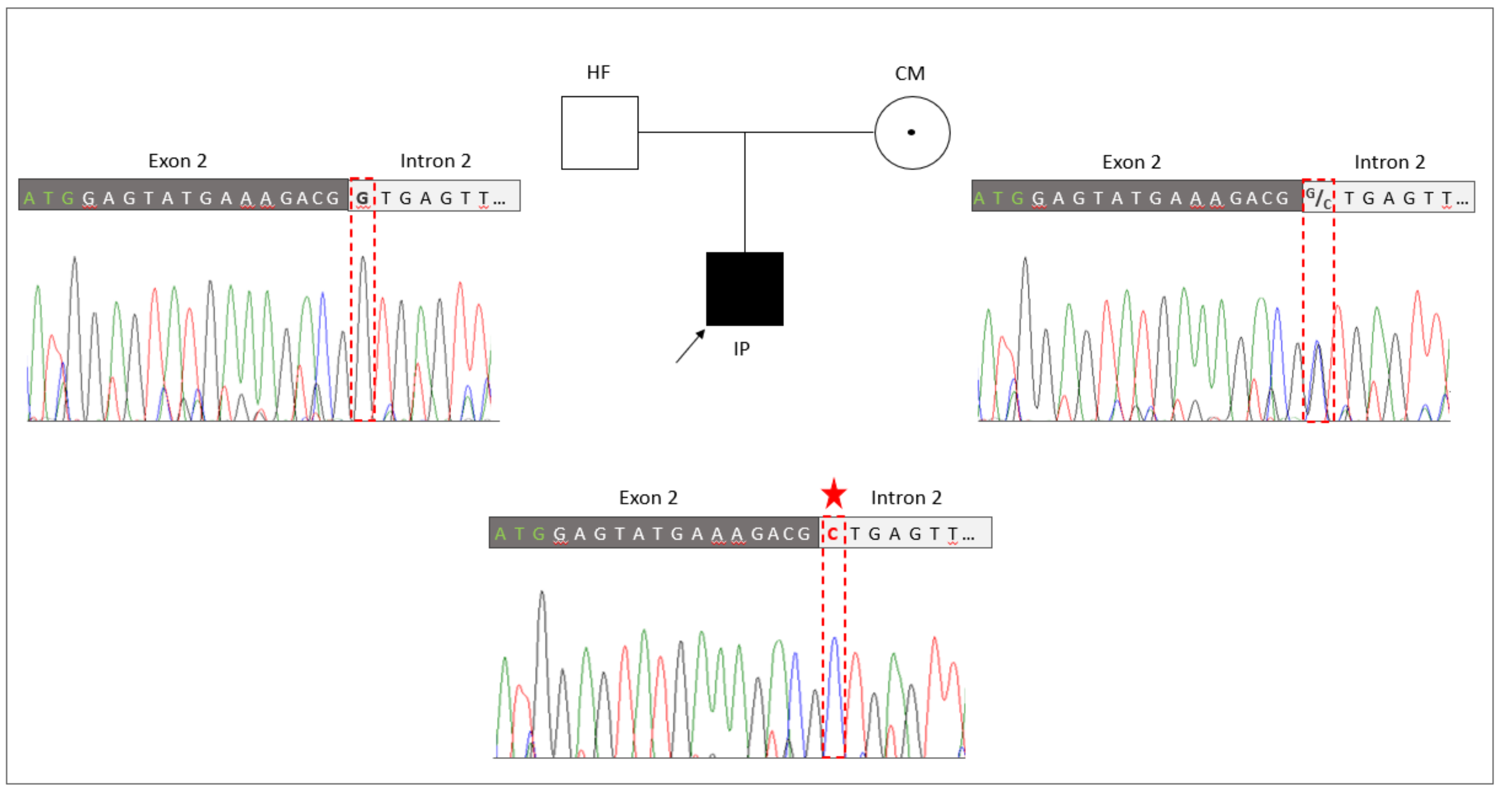 Genes 13 02154 g002 Genes 13 02154 g002