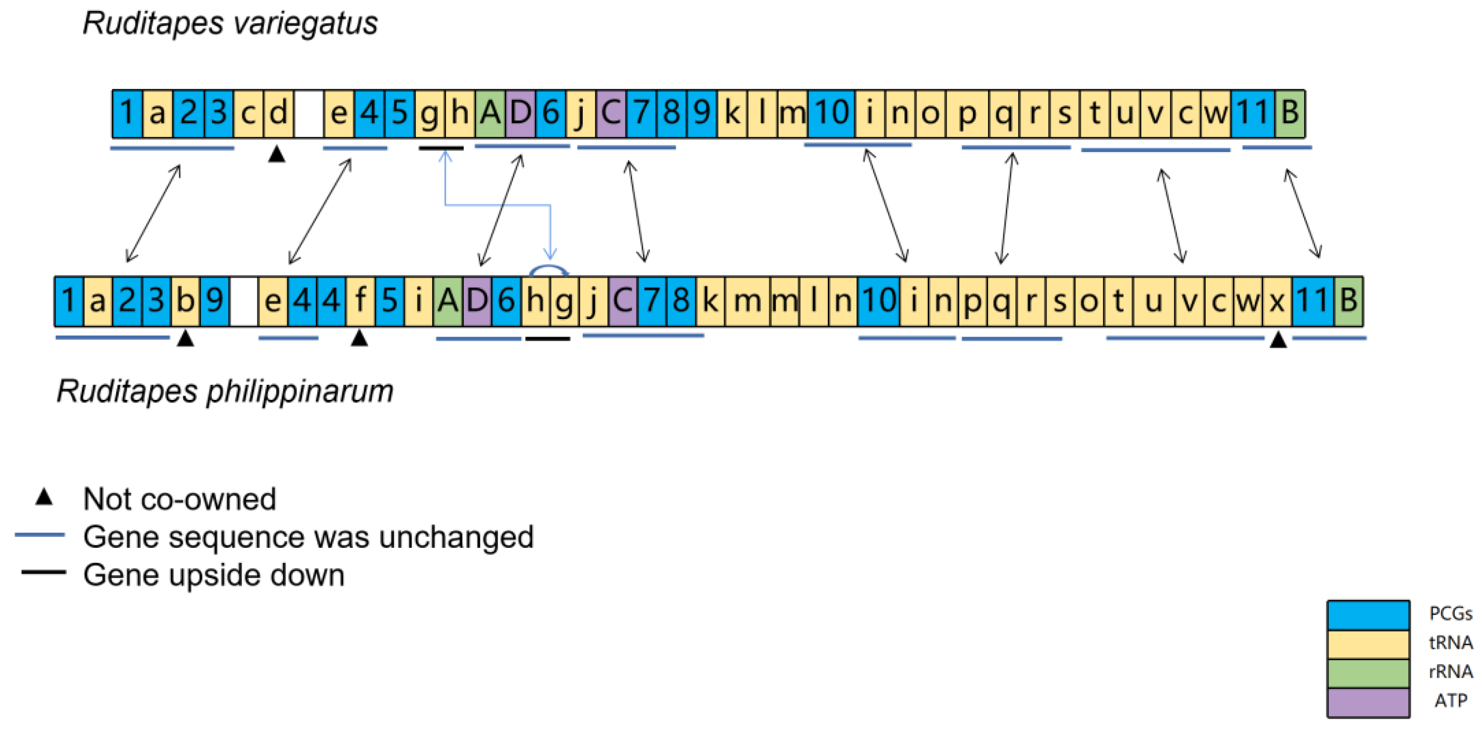 Genes 13 02157 g006
