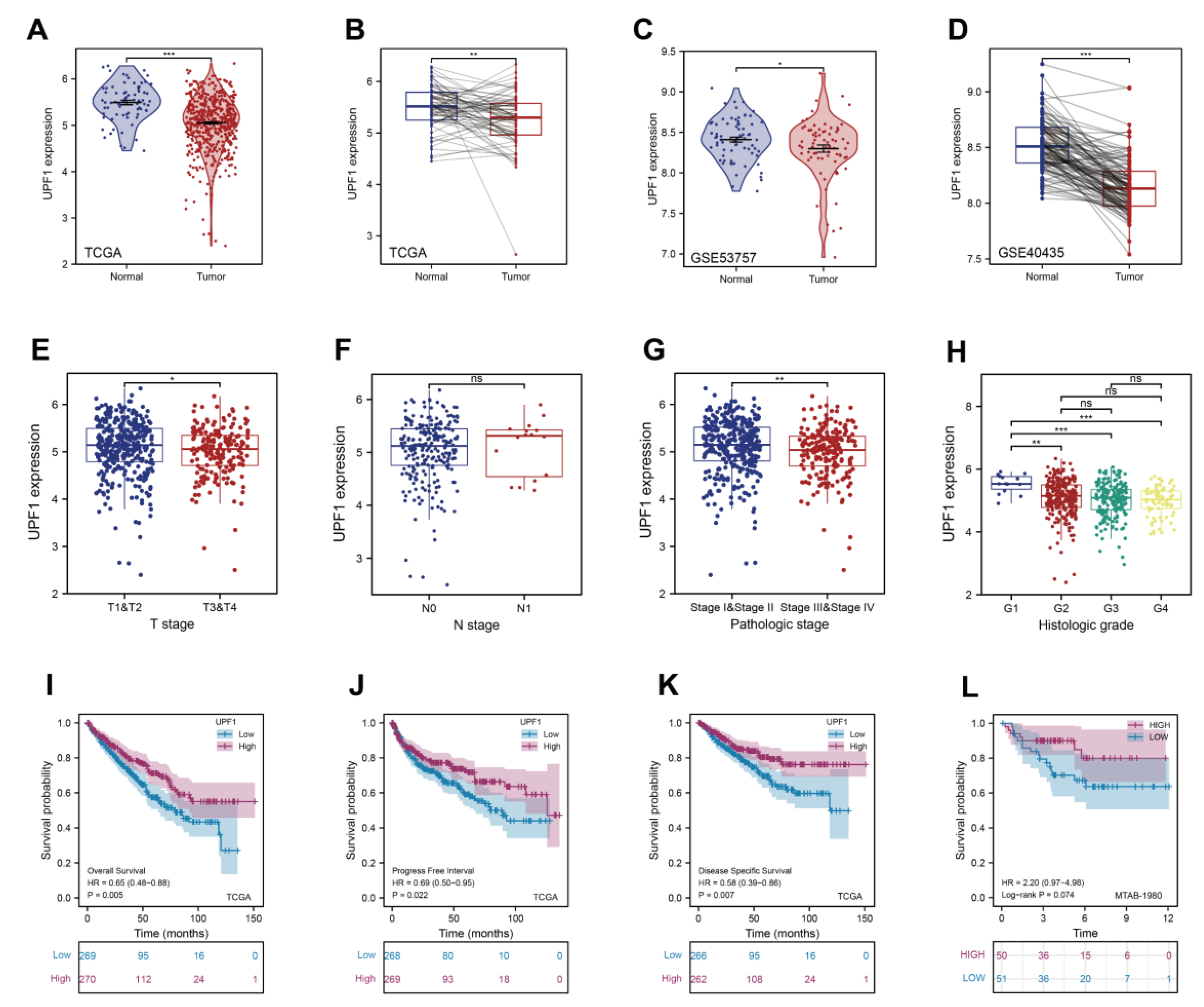 Genes 13 02166 g002 Genes 13 02166 g002