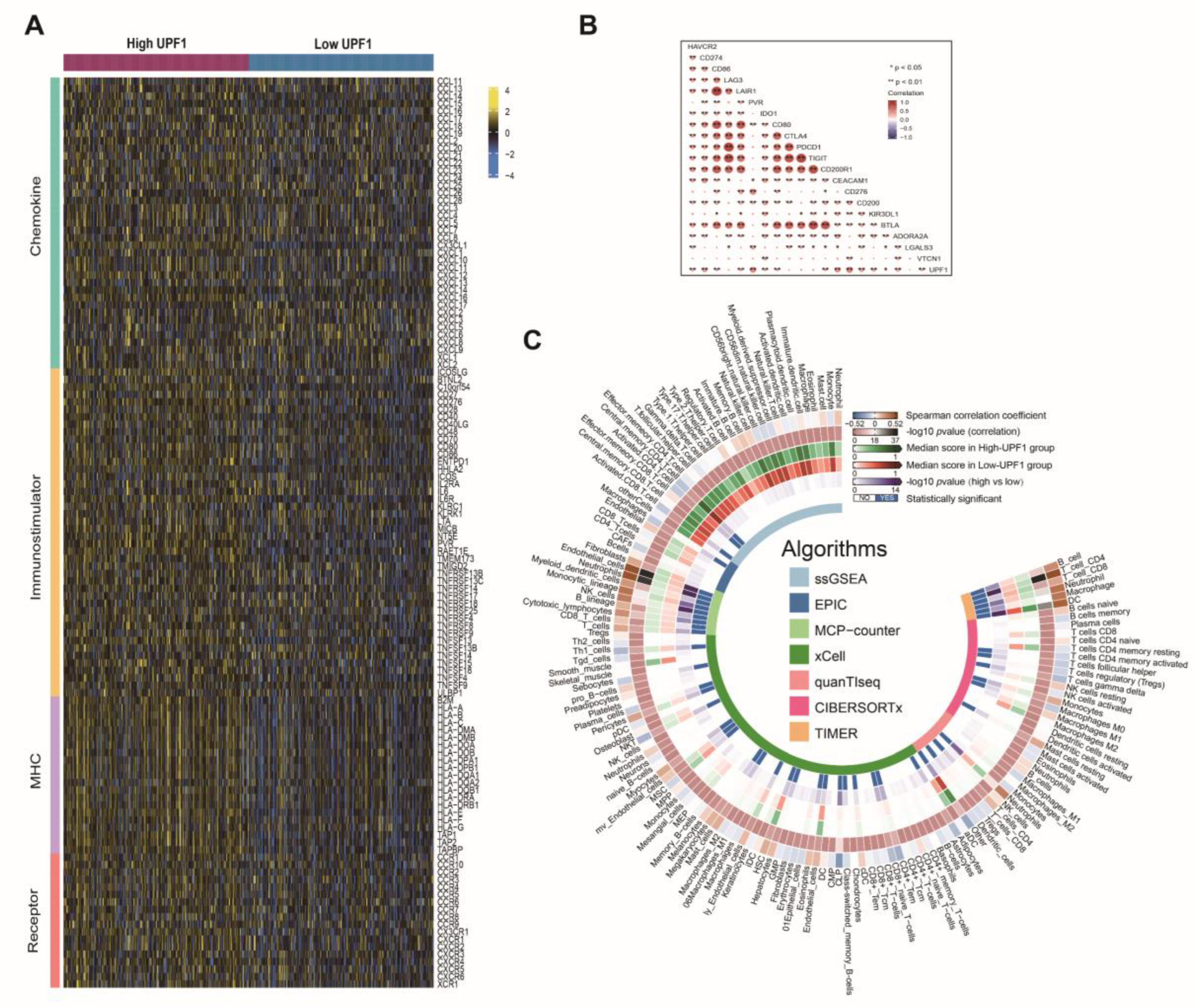 Genes 13 02166 g003 Genes 13 02166 g003