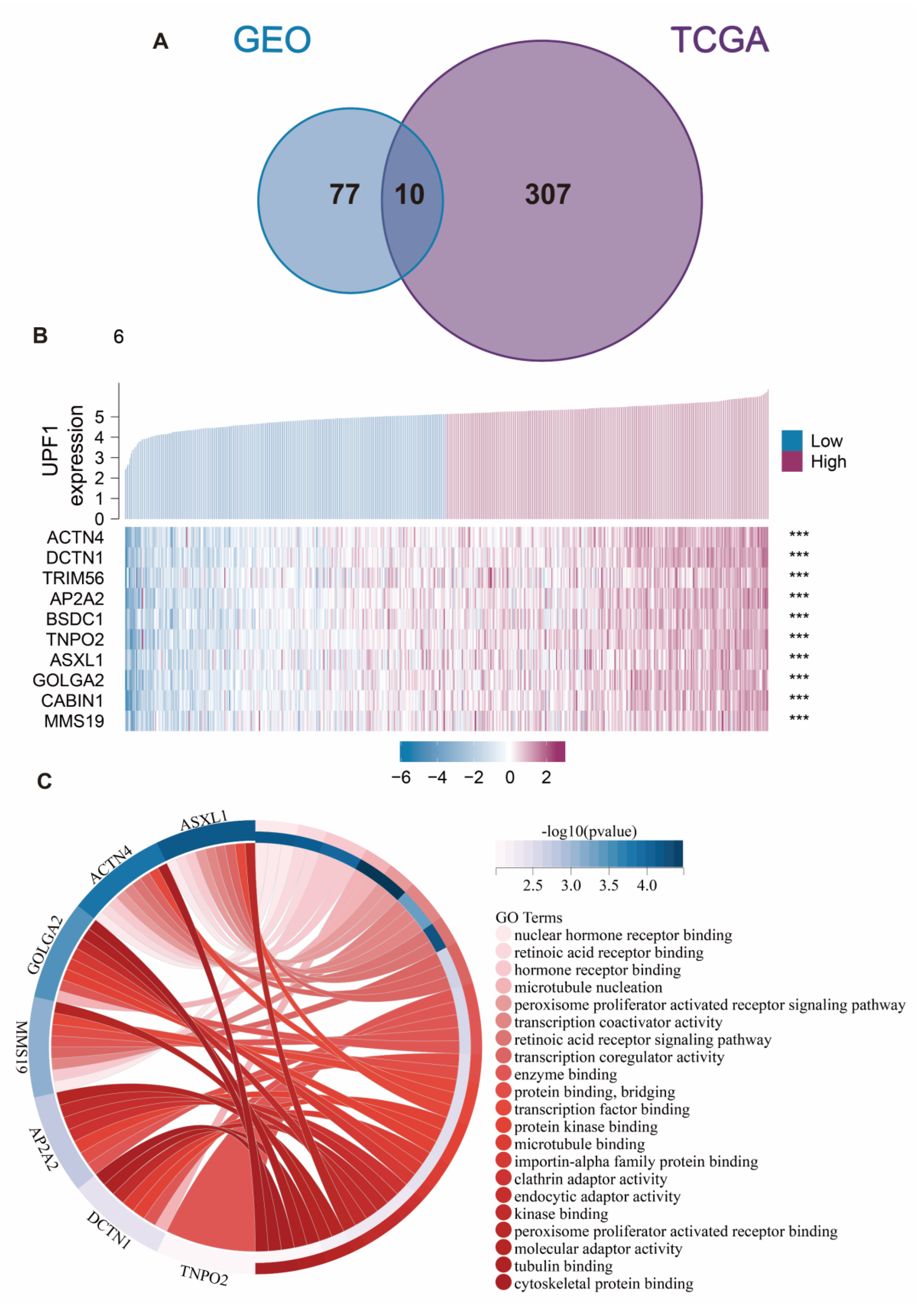 Genes 13 02166 g006 Genes 13 02166 g006