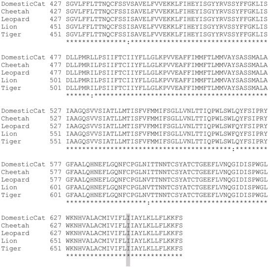 Genes 13 02178 g0a1c