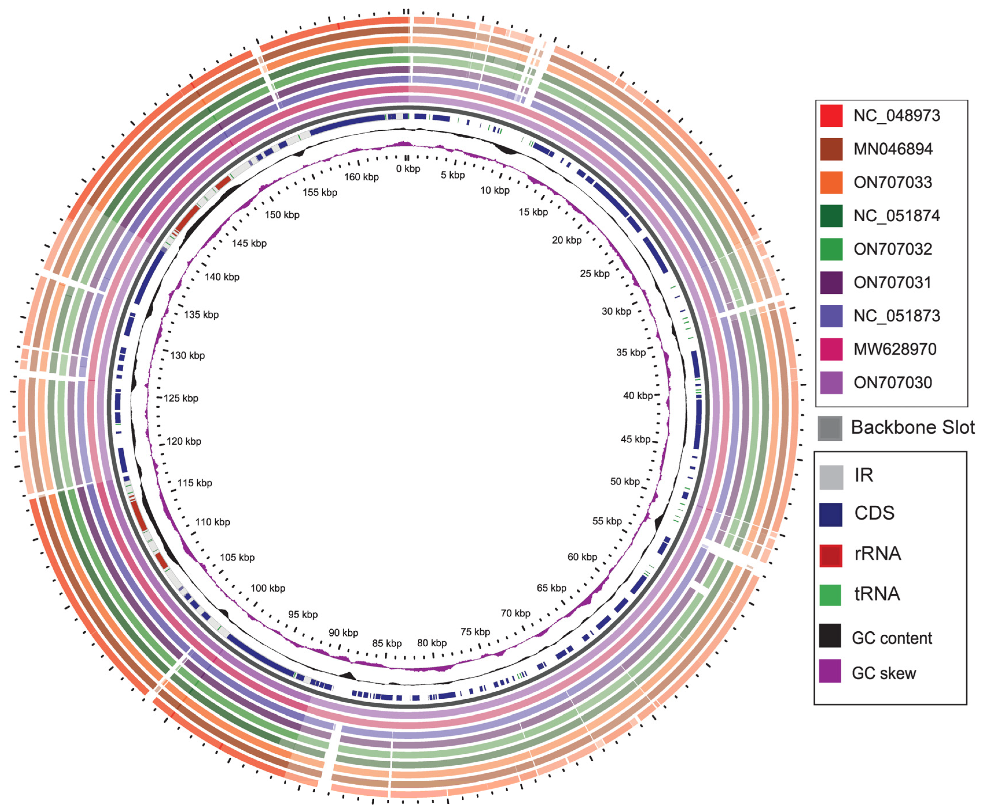 Genes 13 02180 g003 Genes 13 02180 g003