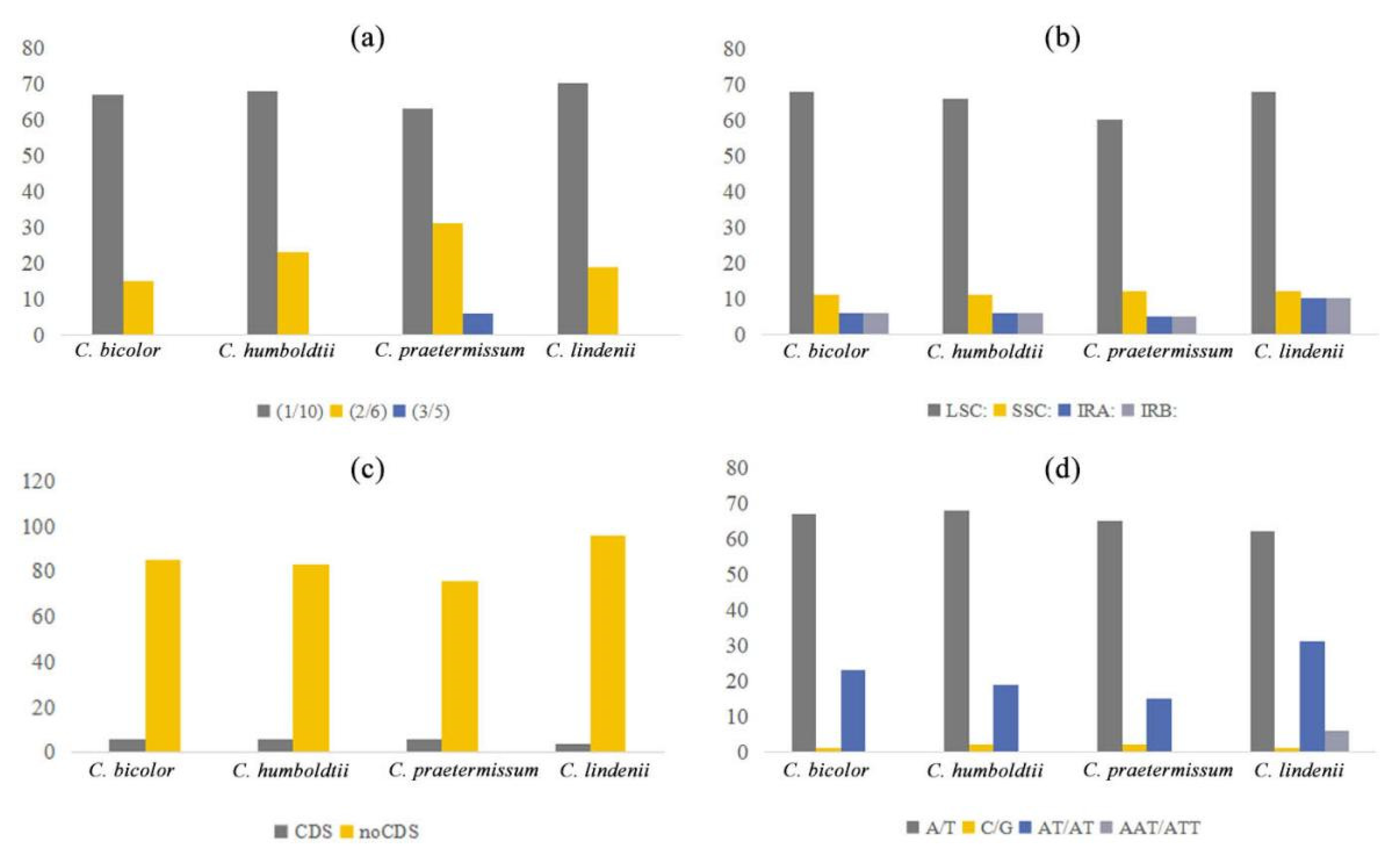 Genes 13 02180 g004 Genes 13 02180 g004
