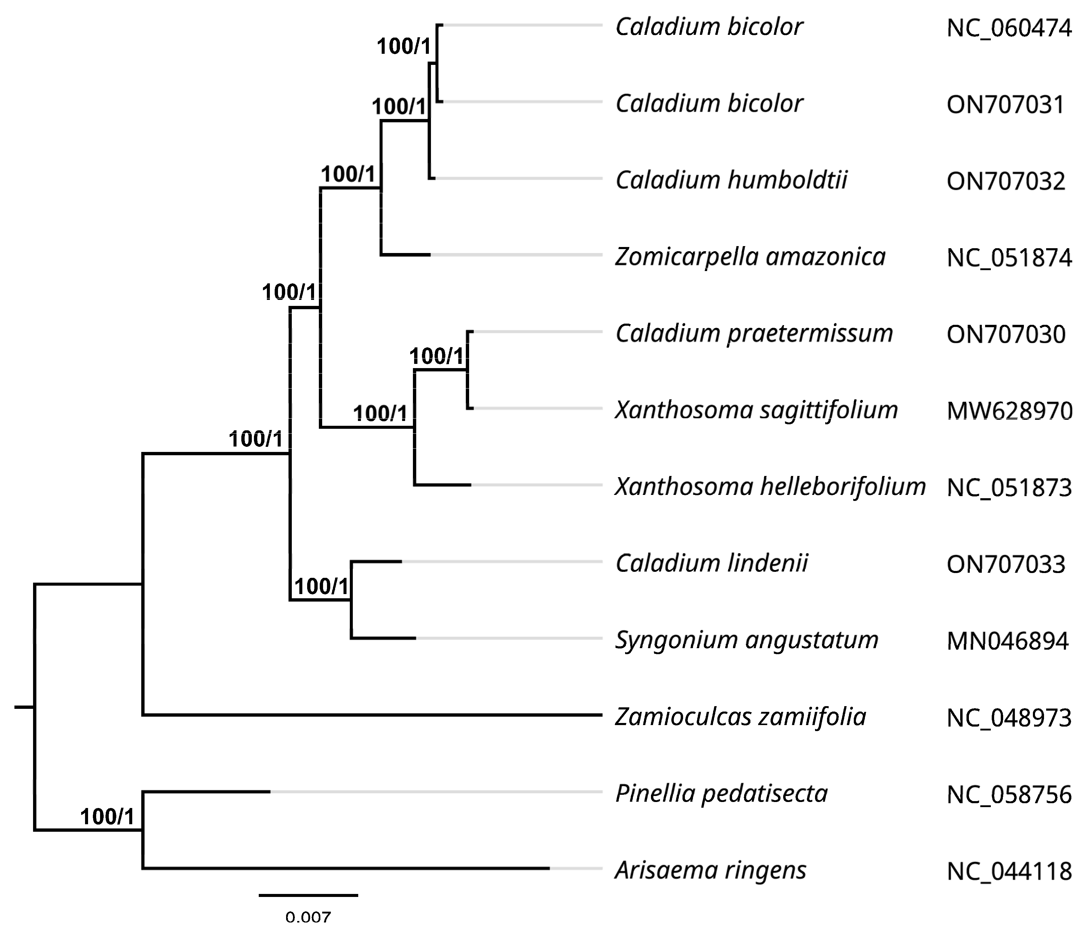 Genes 13 02180 g006 Genes 13 02180 g006