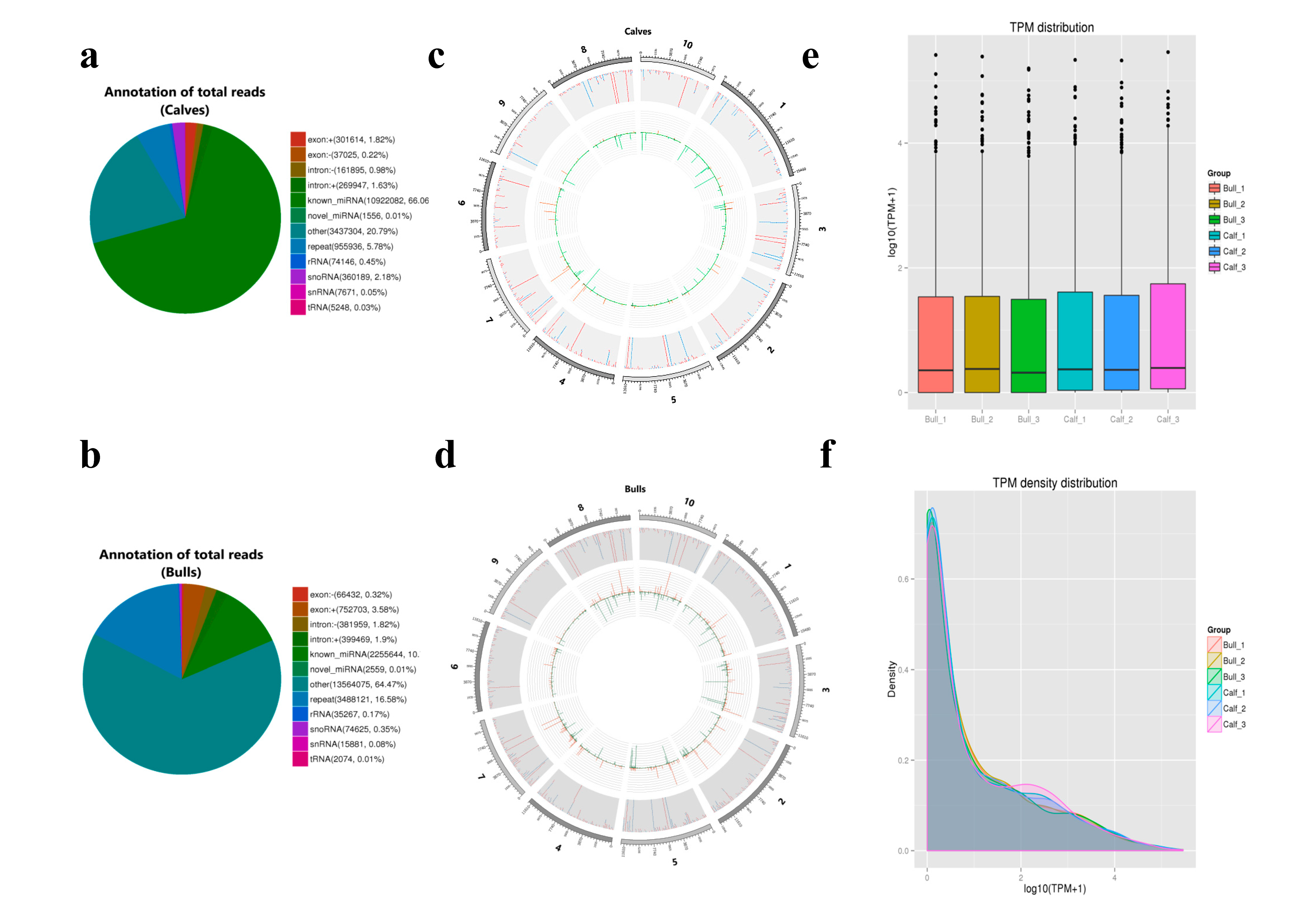 Genes 13 02185 g005
