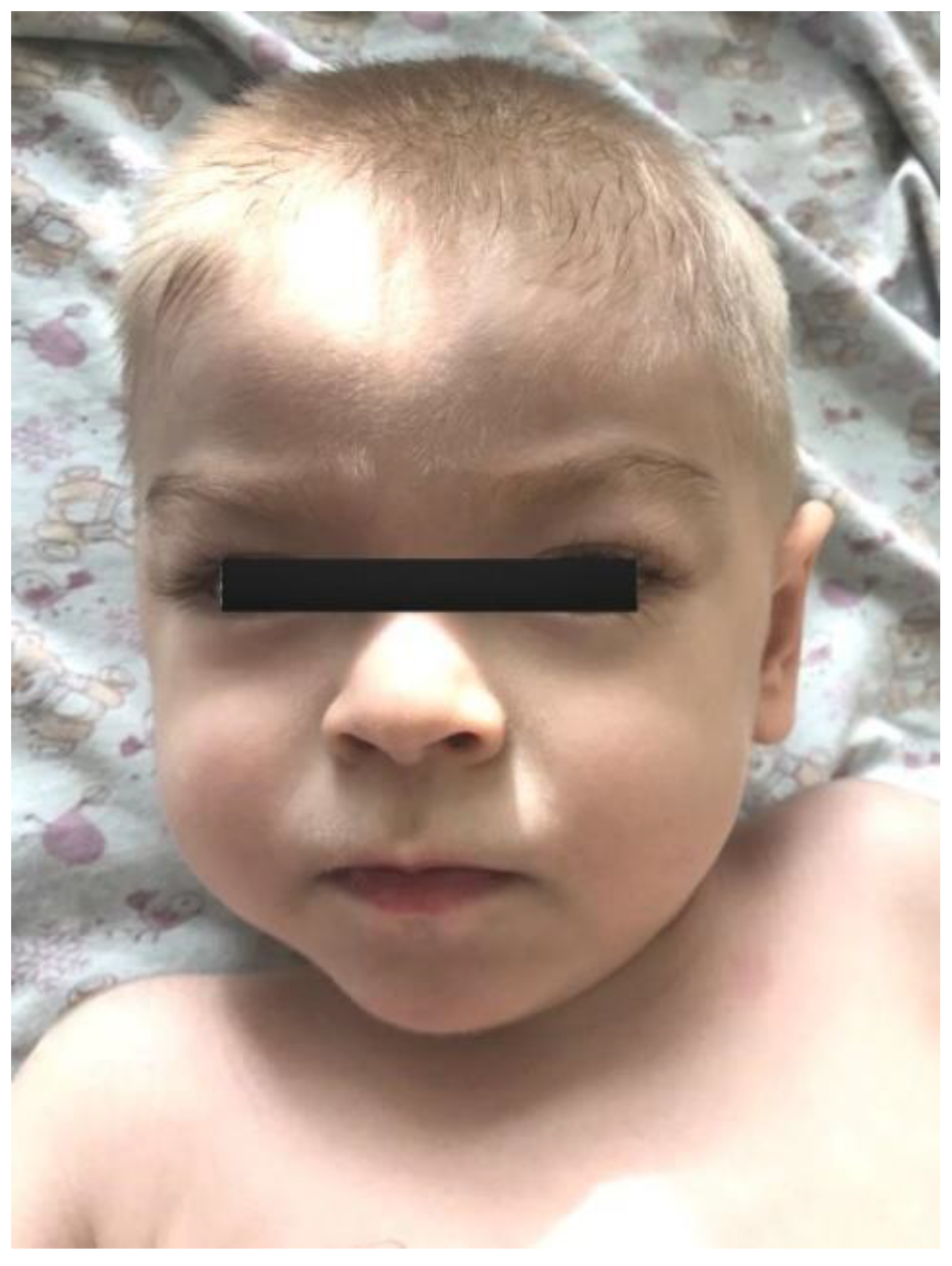 Genes 13 02186 g001 Genes 13 02186 g001