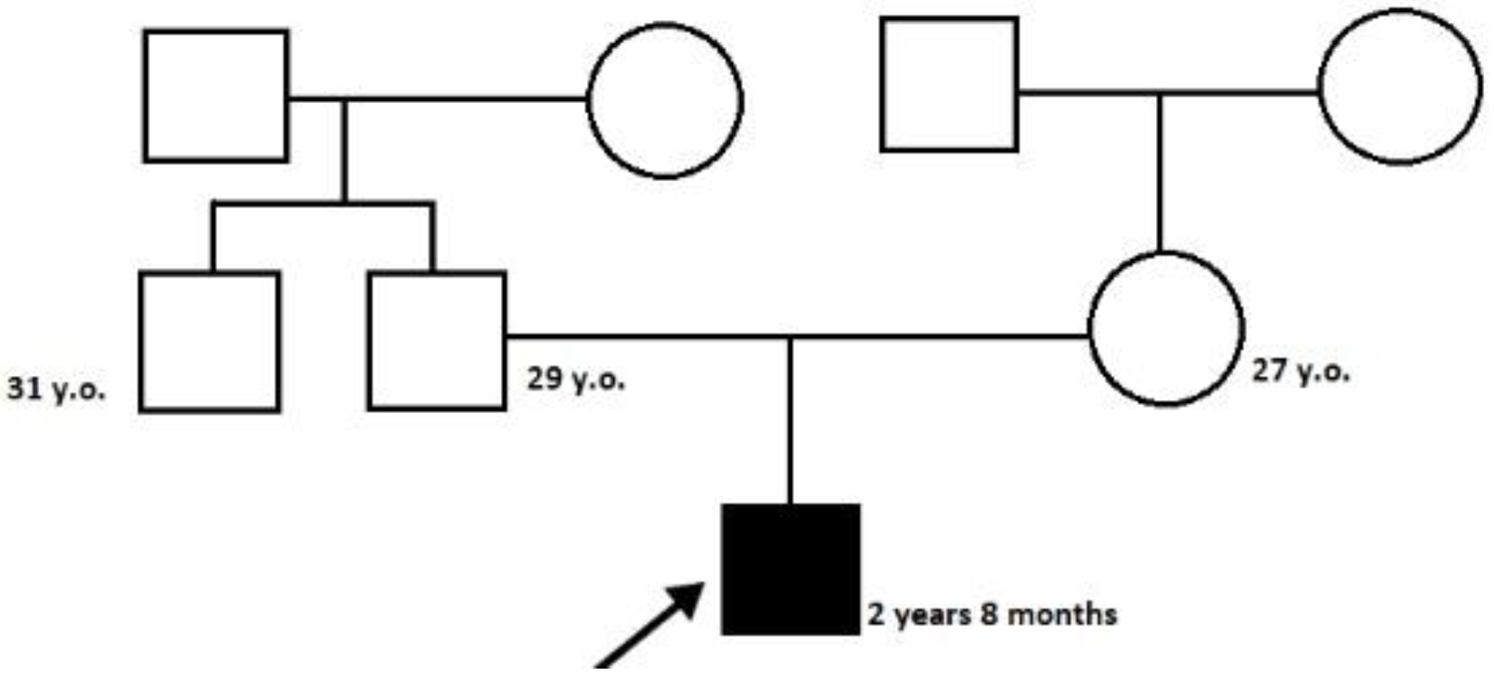 Genes 13 02186 g003 Genes 13 02186 g003