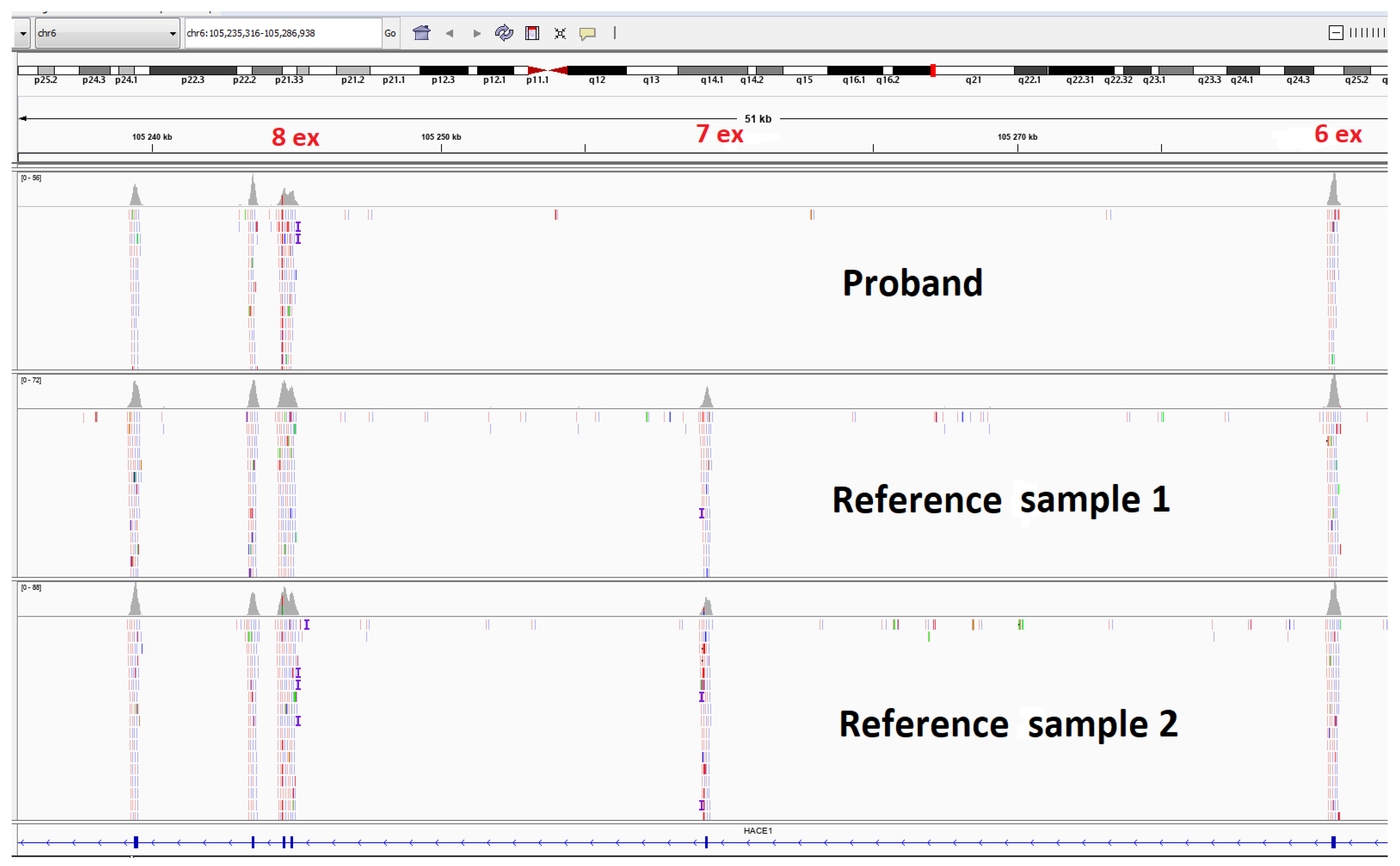 Genes 13 02186 g004 Genes 13 02186 g004