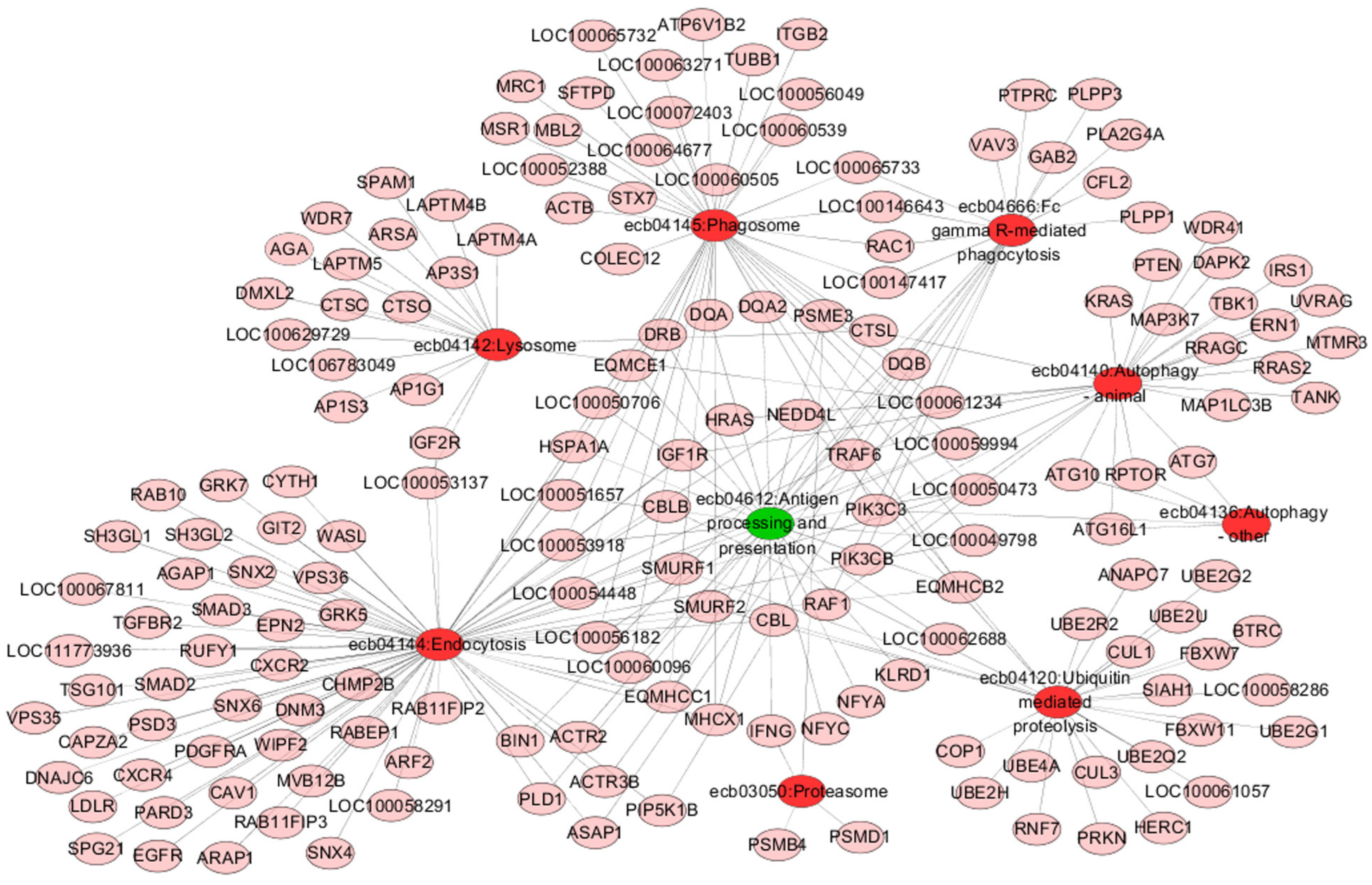 Genes 13 02188 g003