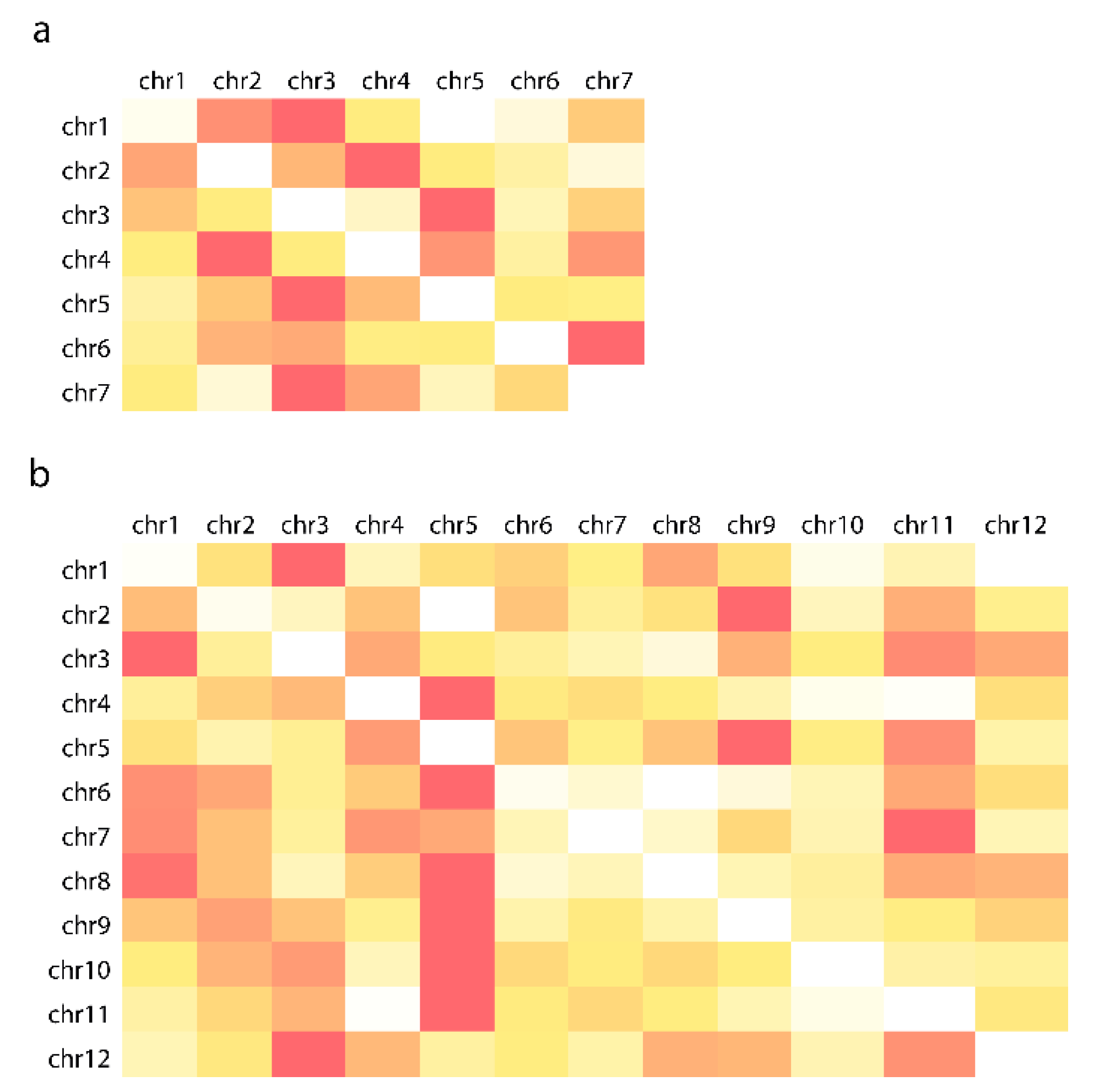 Genes 13 02189 g005 Genes 13 02189 g005