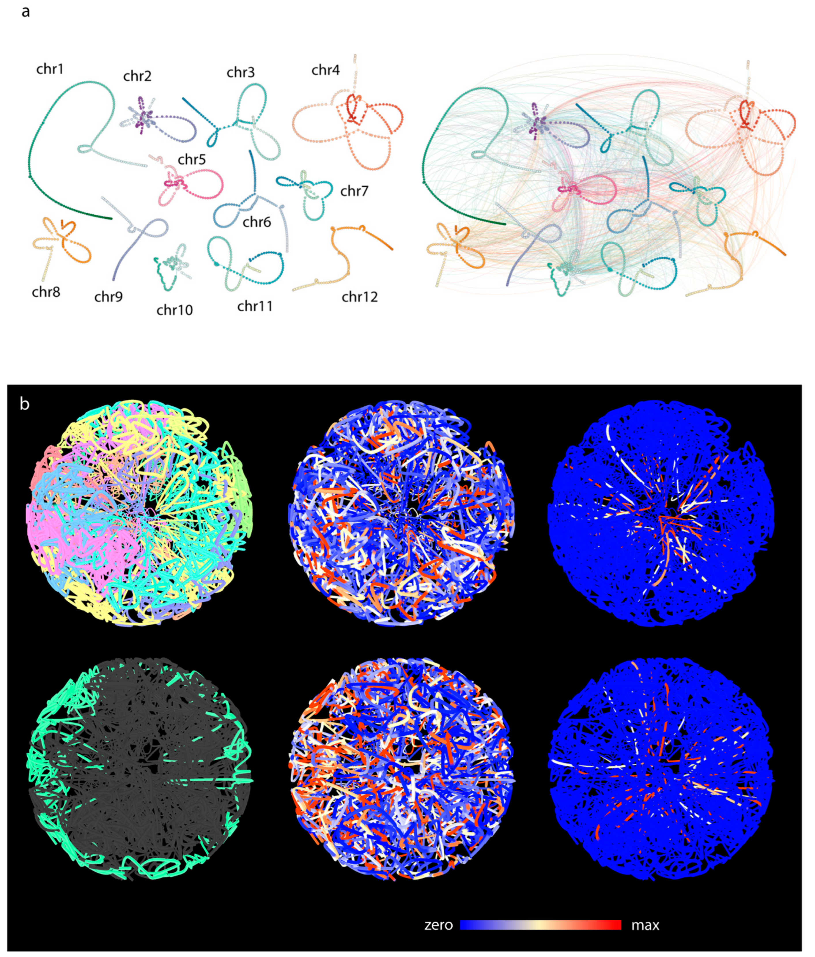 Genes 13 02189 g007 Genes 13 02189 g007