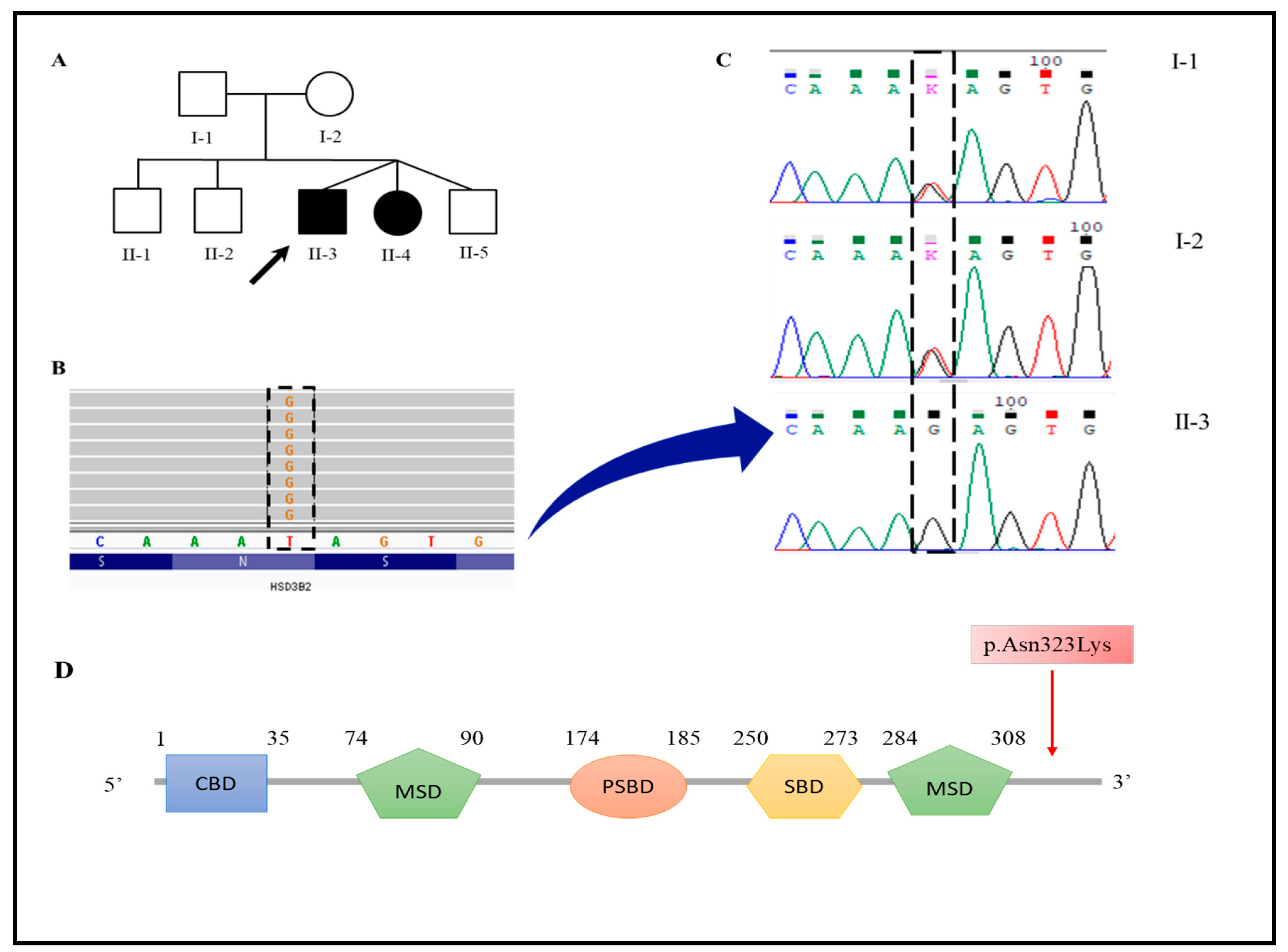 Genes 13 02190 g003