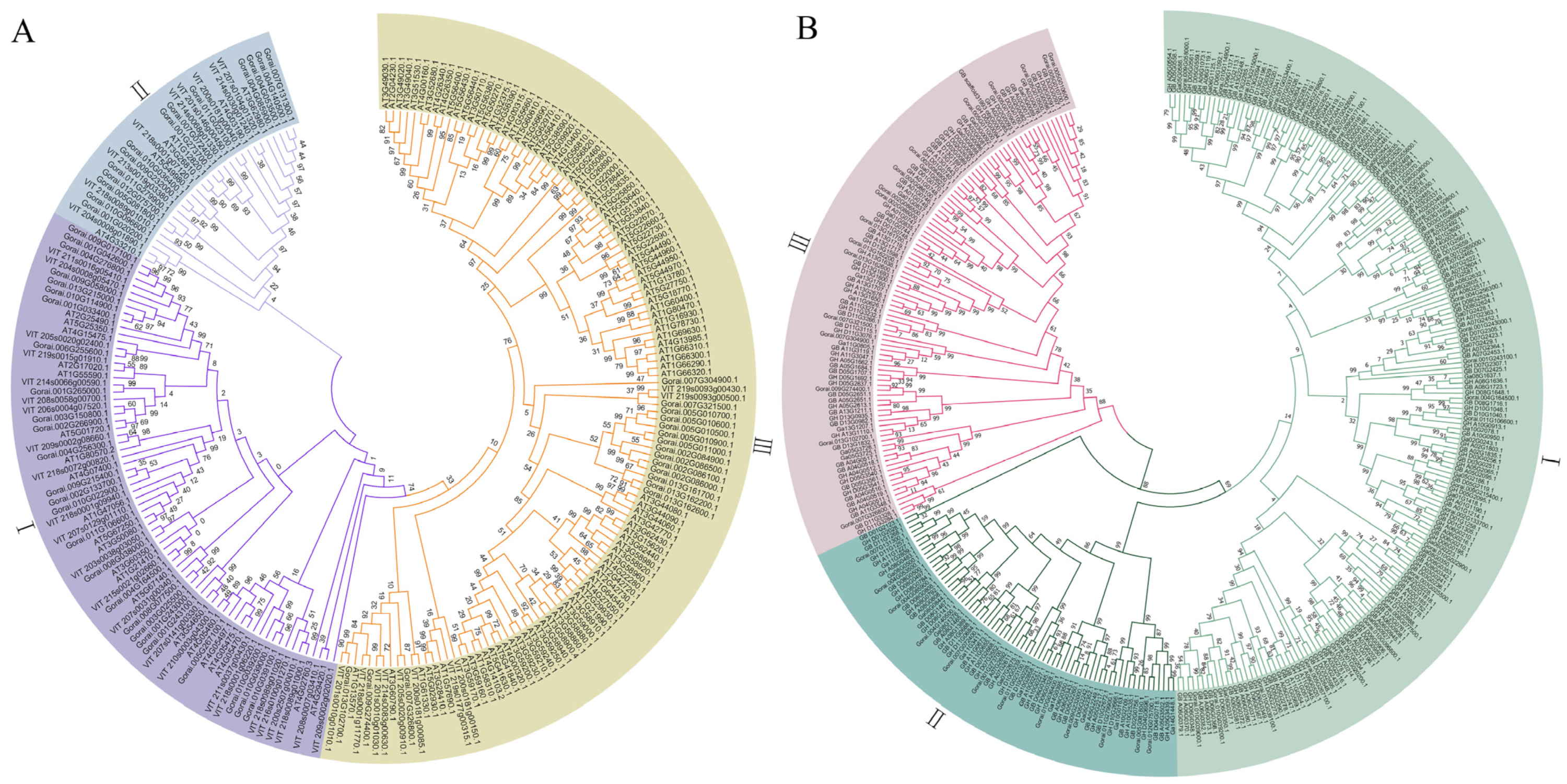 Genes 13 02194 g003