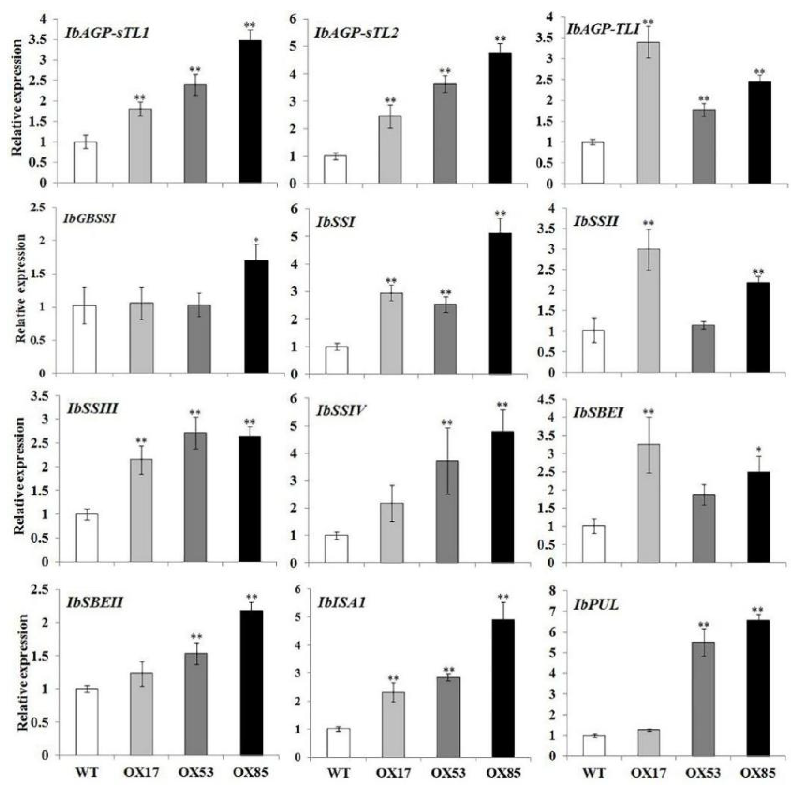Genes 13 02234 g007 Genes 13 02234 g007