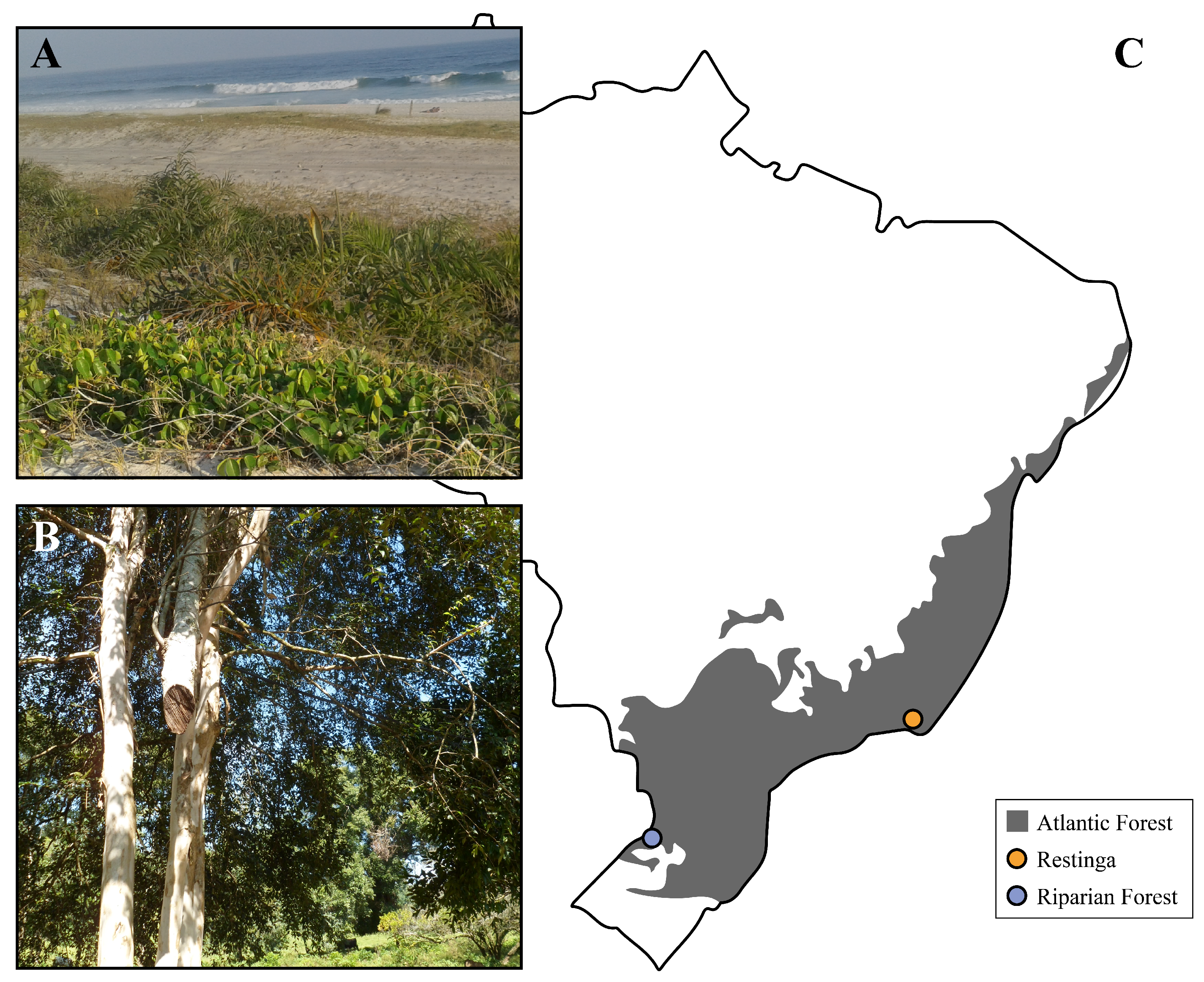 Genes 13 02235 g001 Genes 13 02235 g001