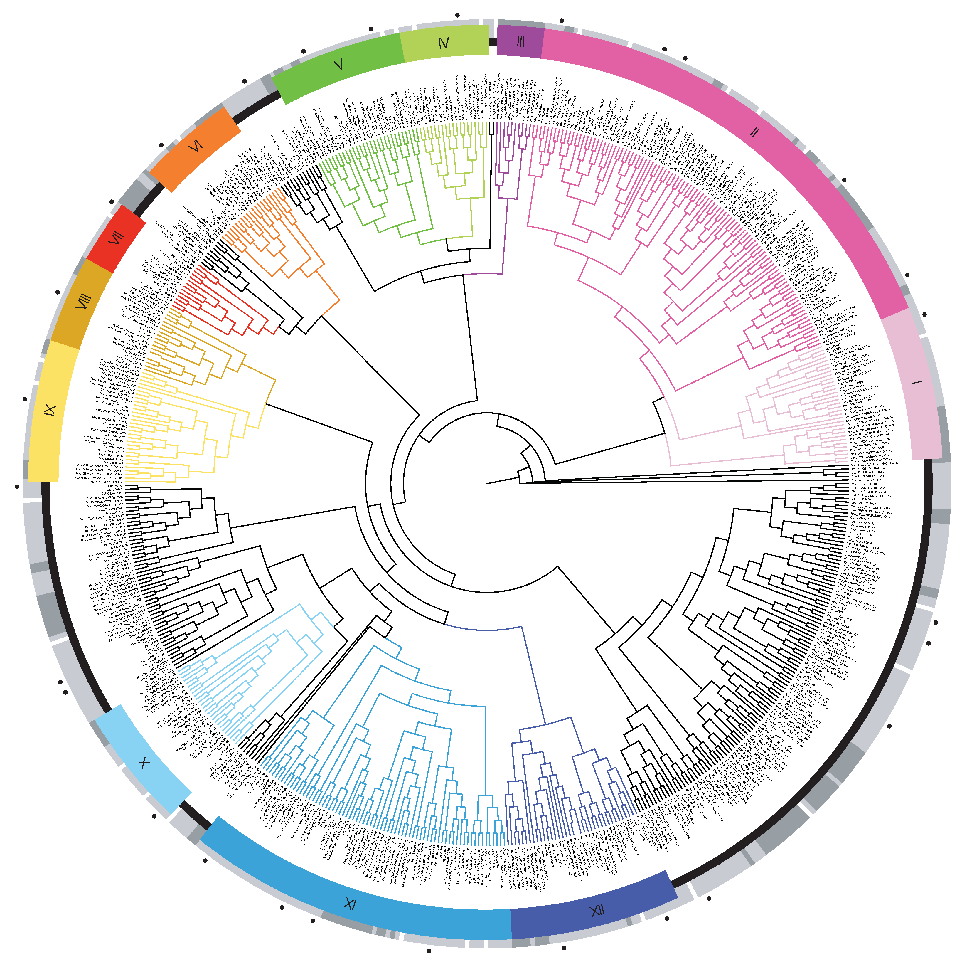 Genes 13 02235 g002 Genes 13 02235 g002