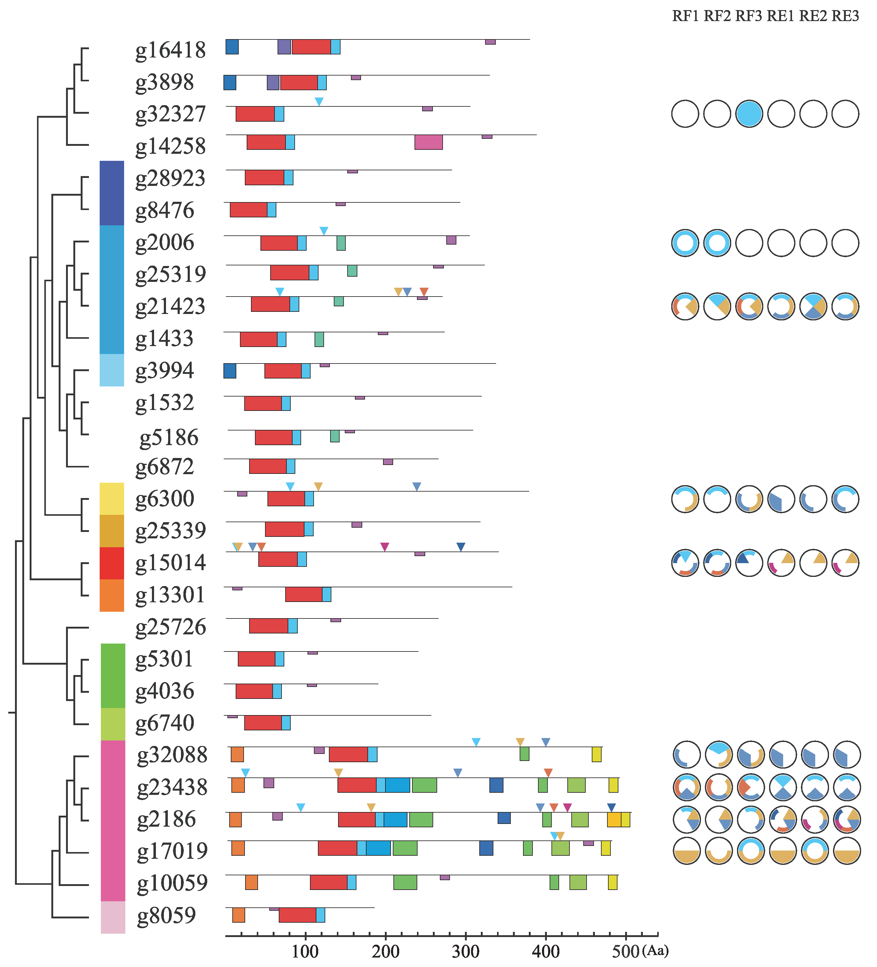 Genes 13 02235 g003 Genes 13 02235 g003