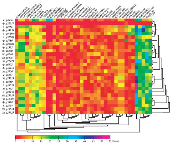 Genes 13 02235 g007