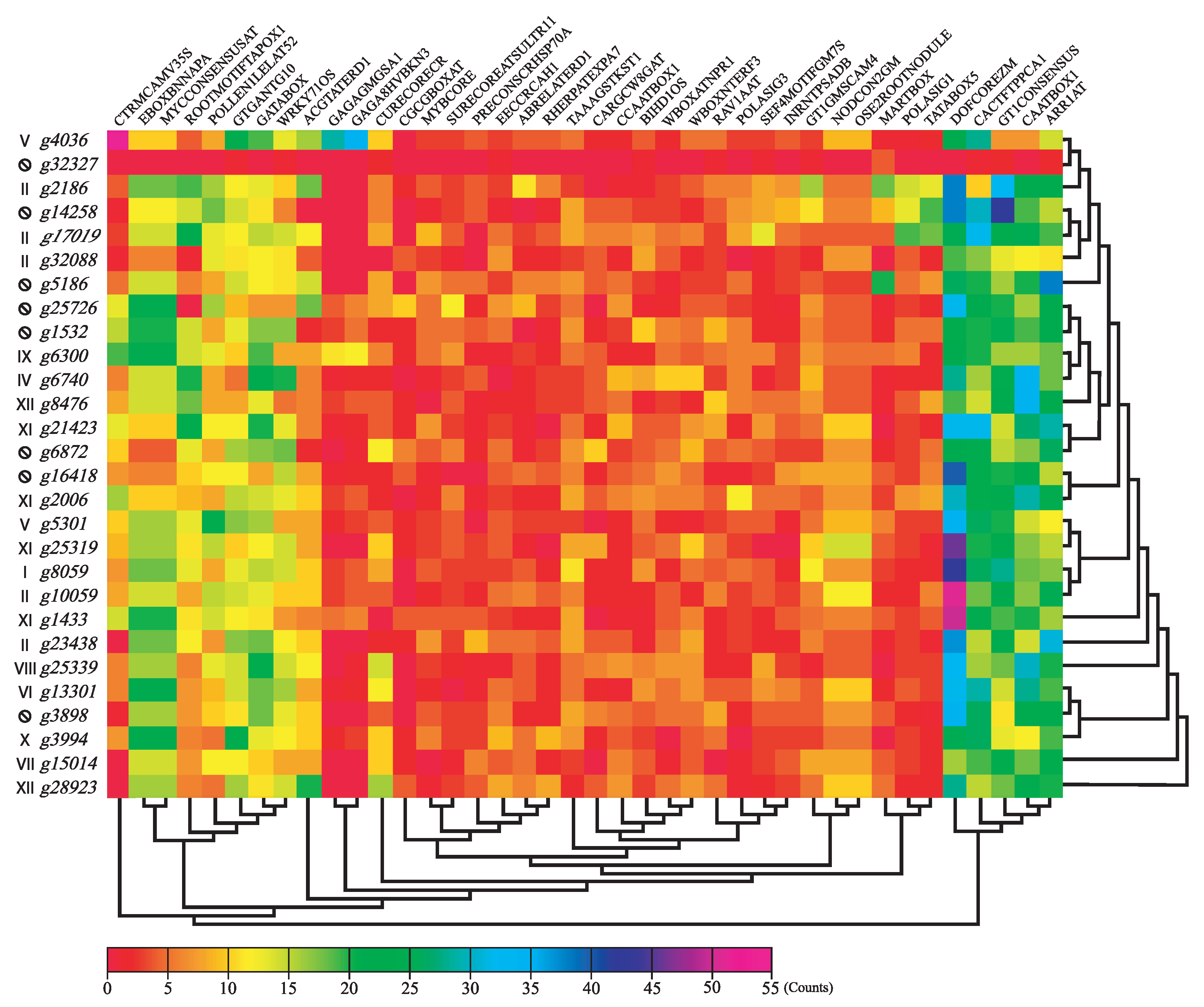 Genes 13 02235 g007 Genes 13 02235 g007