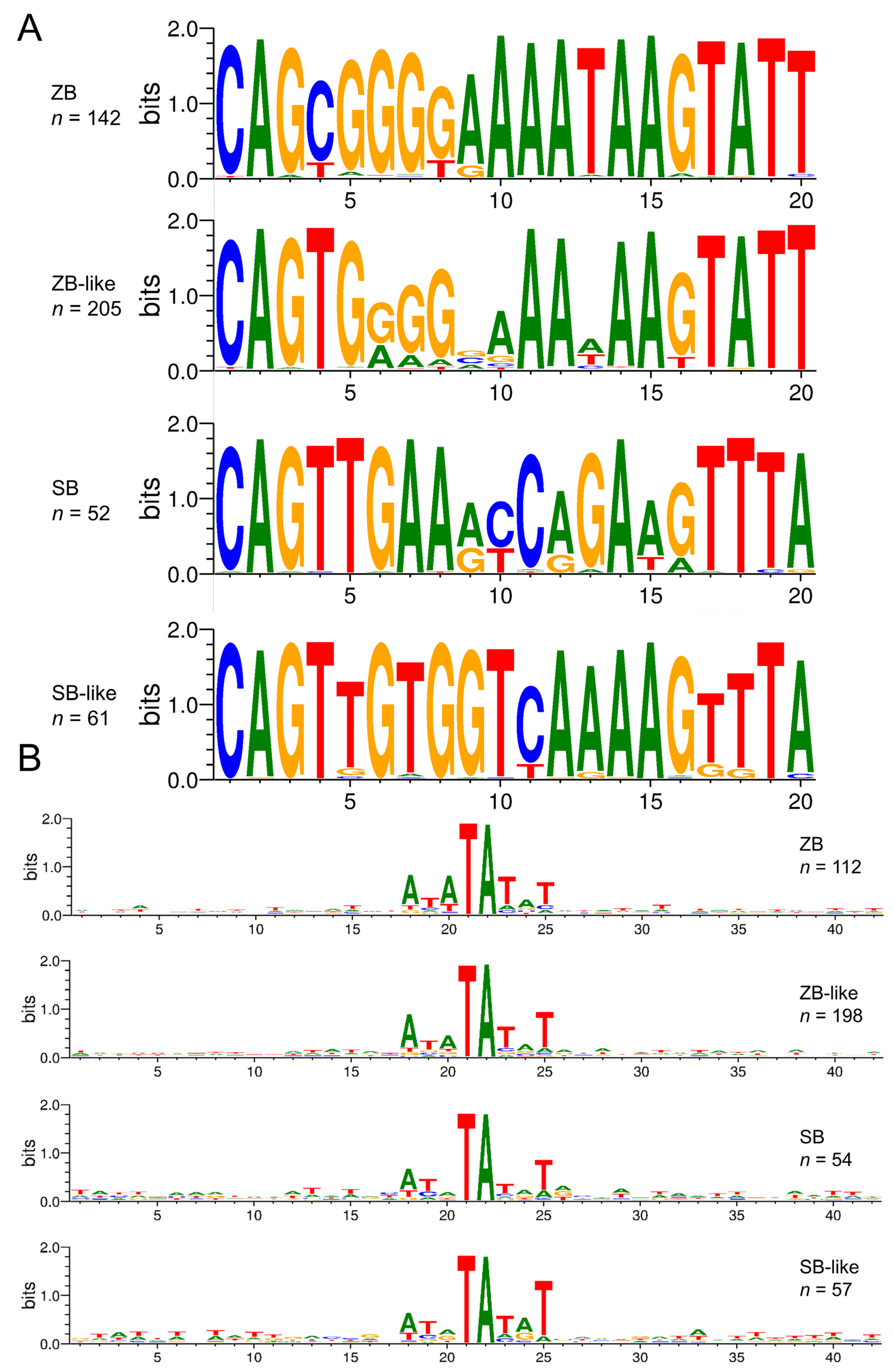 Genes 13 02239 g005