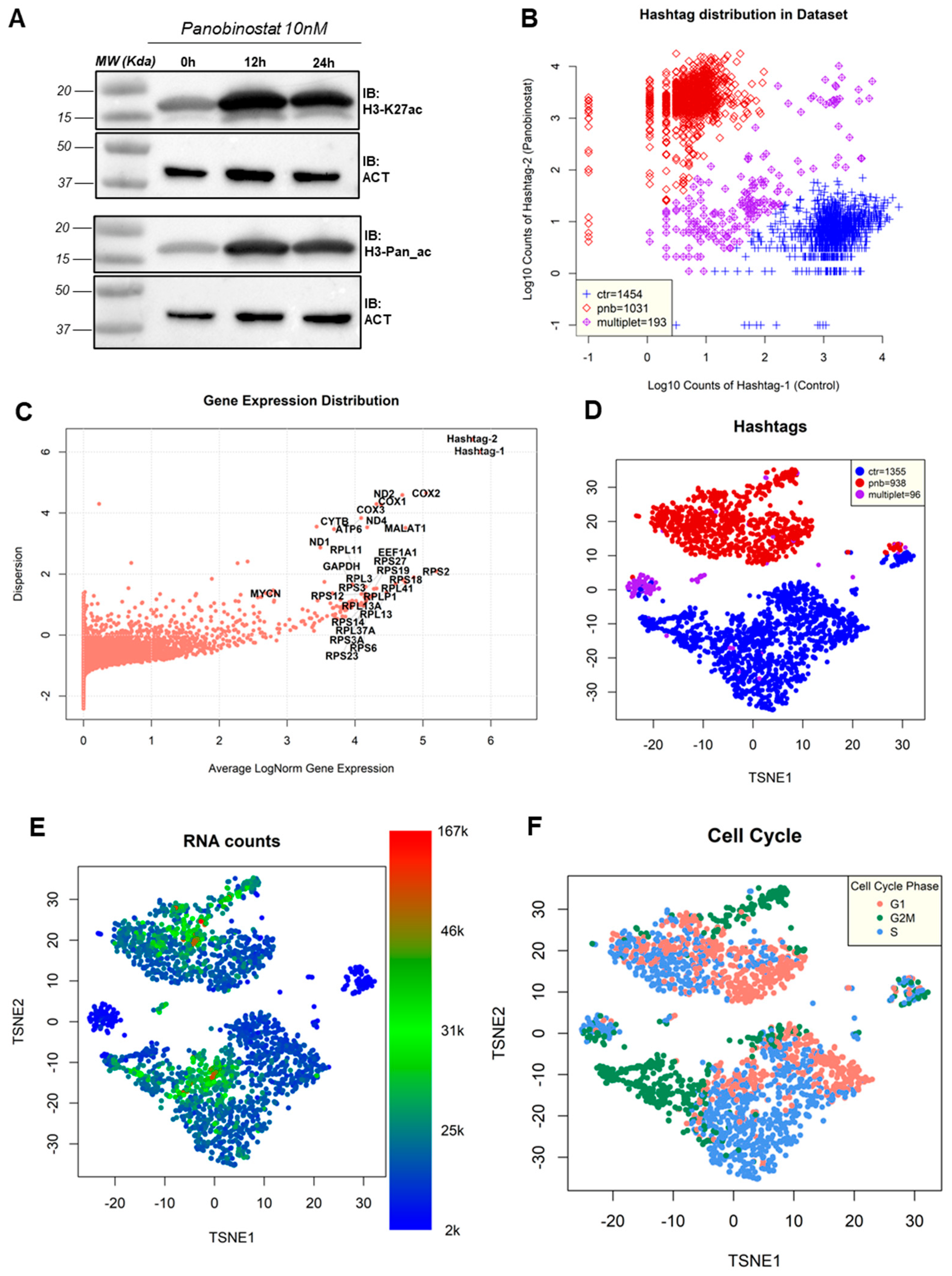 Genes 13 02240 g001 Genes 13 02240 g001