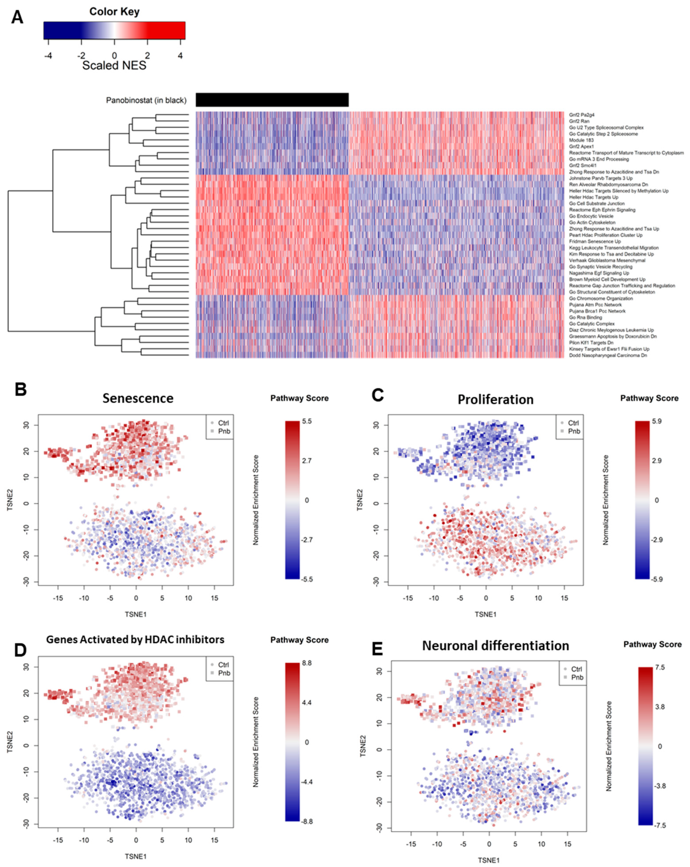 Genes 13 02240 g003 Genes 13 02240 g003