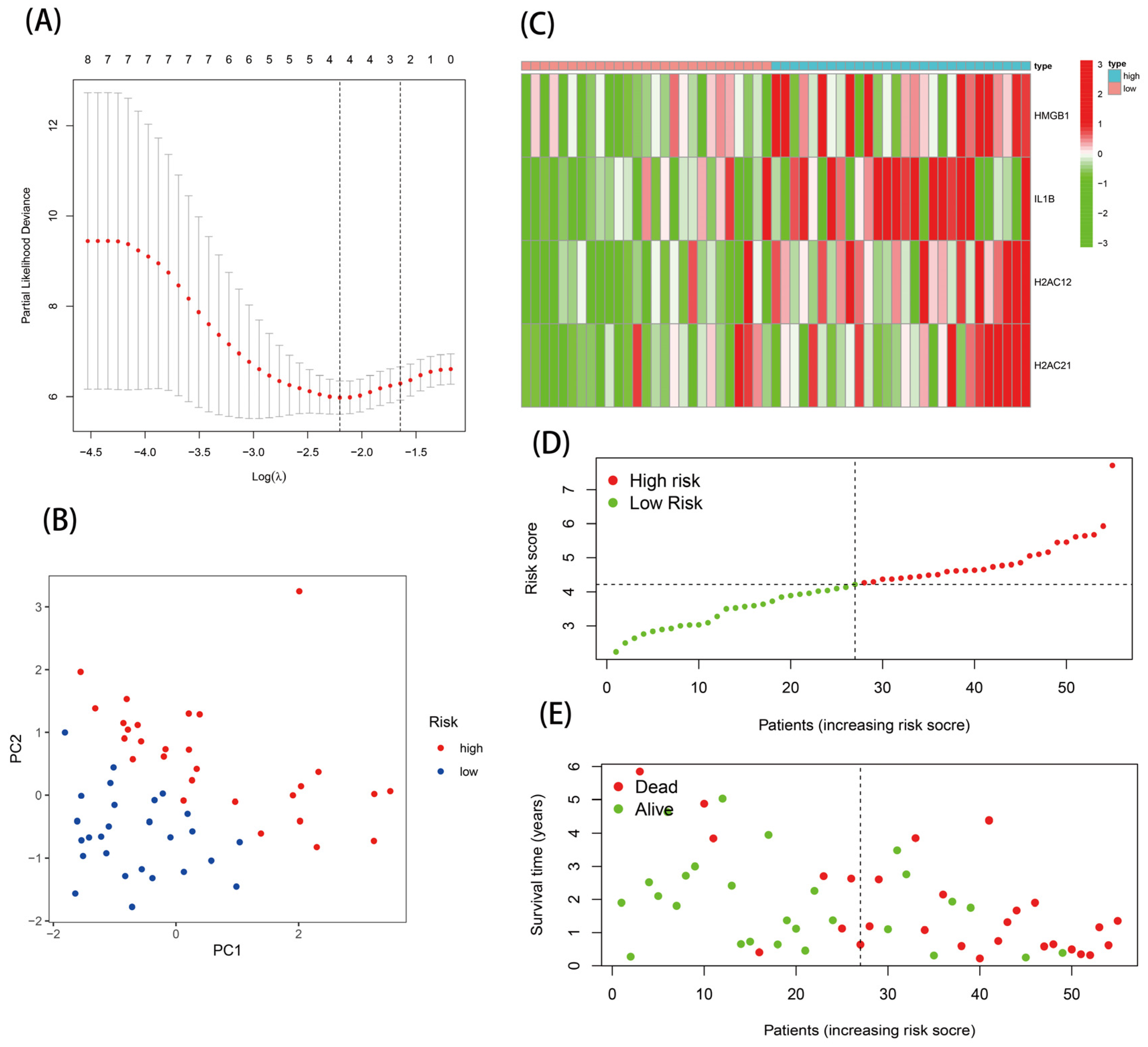 Genes 13 02243 g004 Genes 13 02243 g004