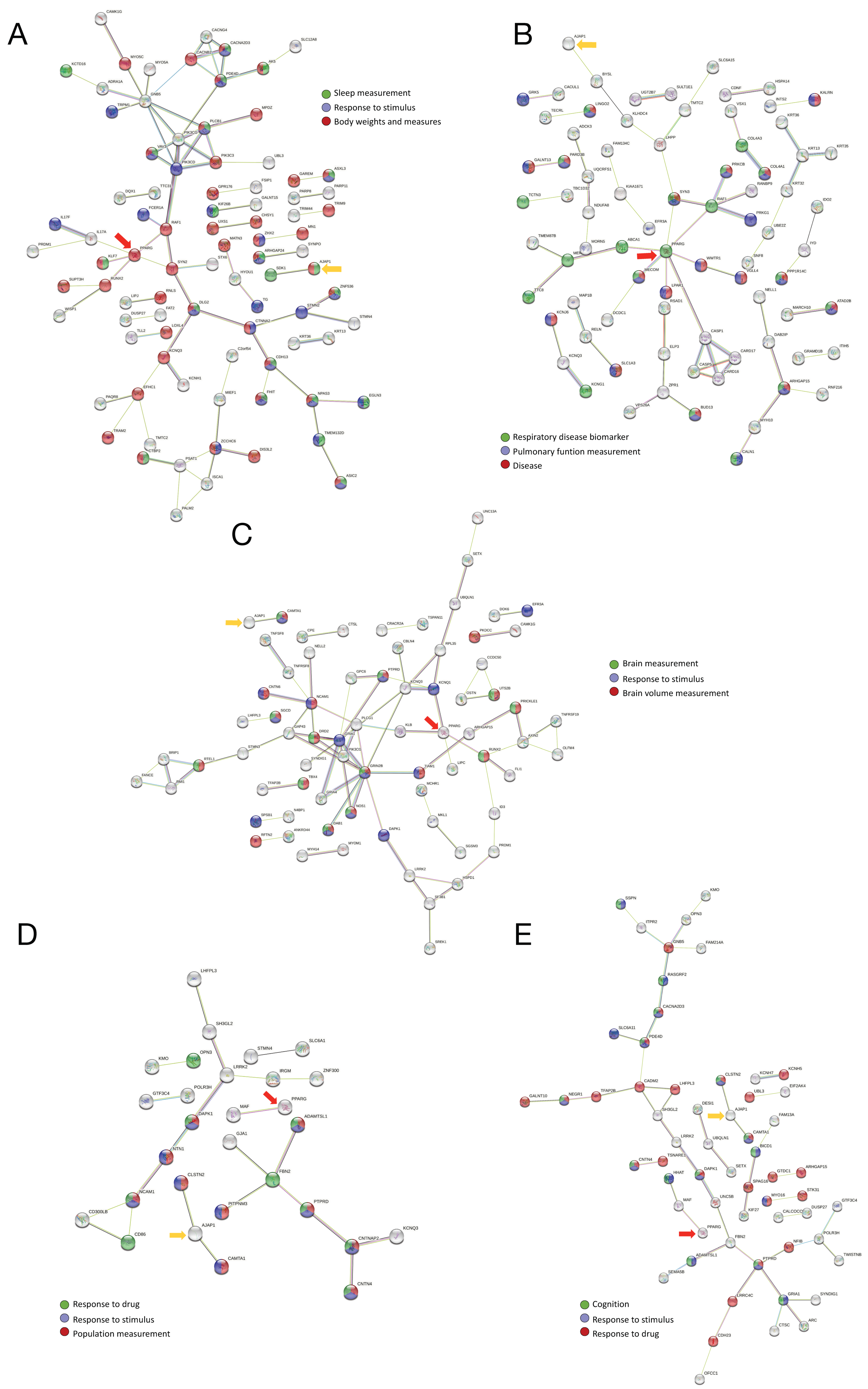 Genes 13 02251 g003 Genes 13 02251 g003