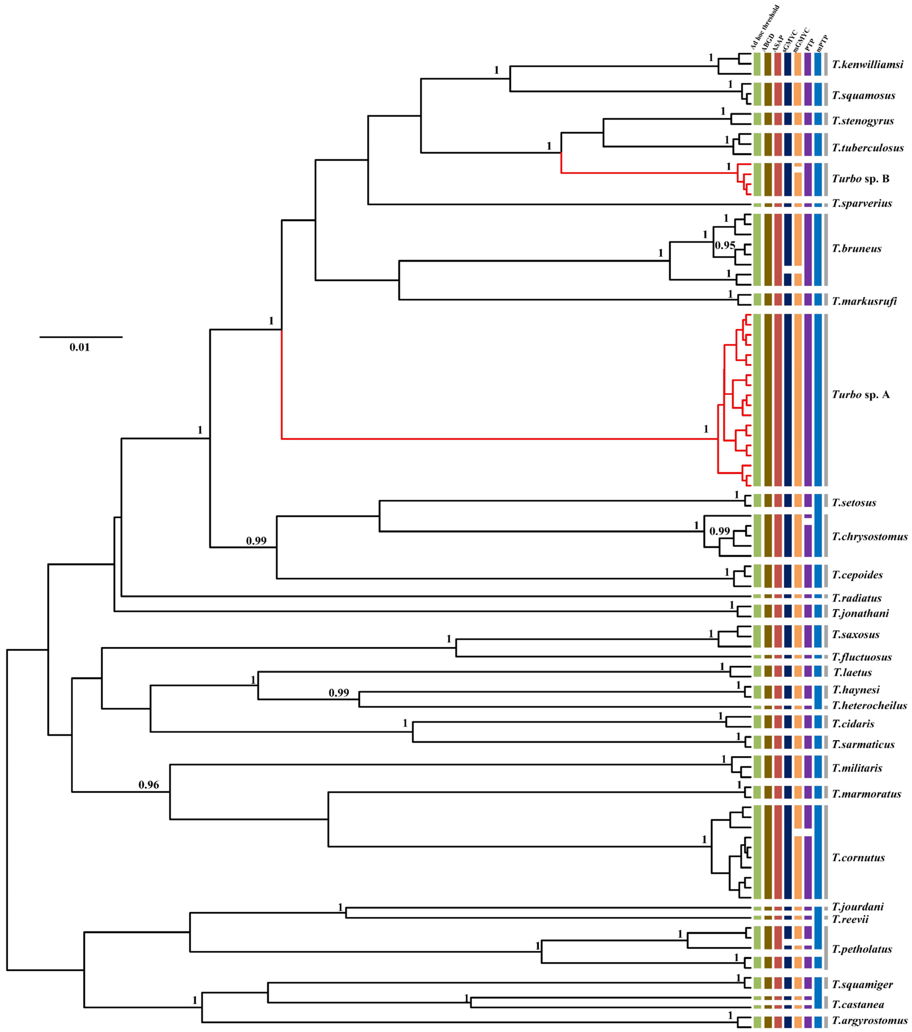 Genes 13 02273 g004 Genes 13 02273 g004