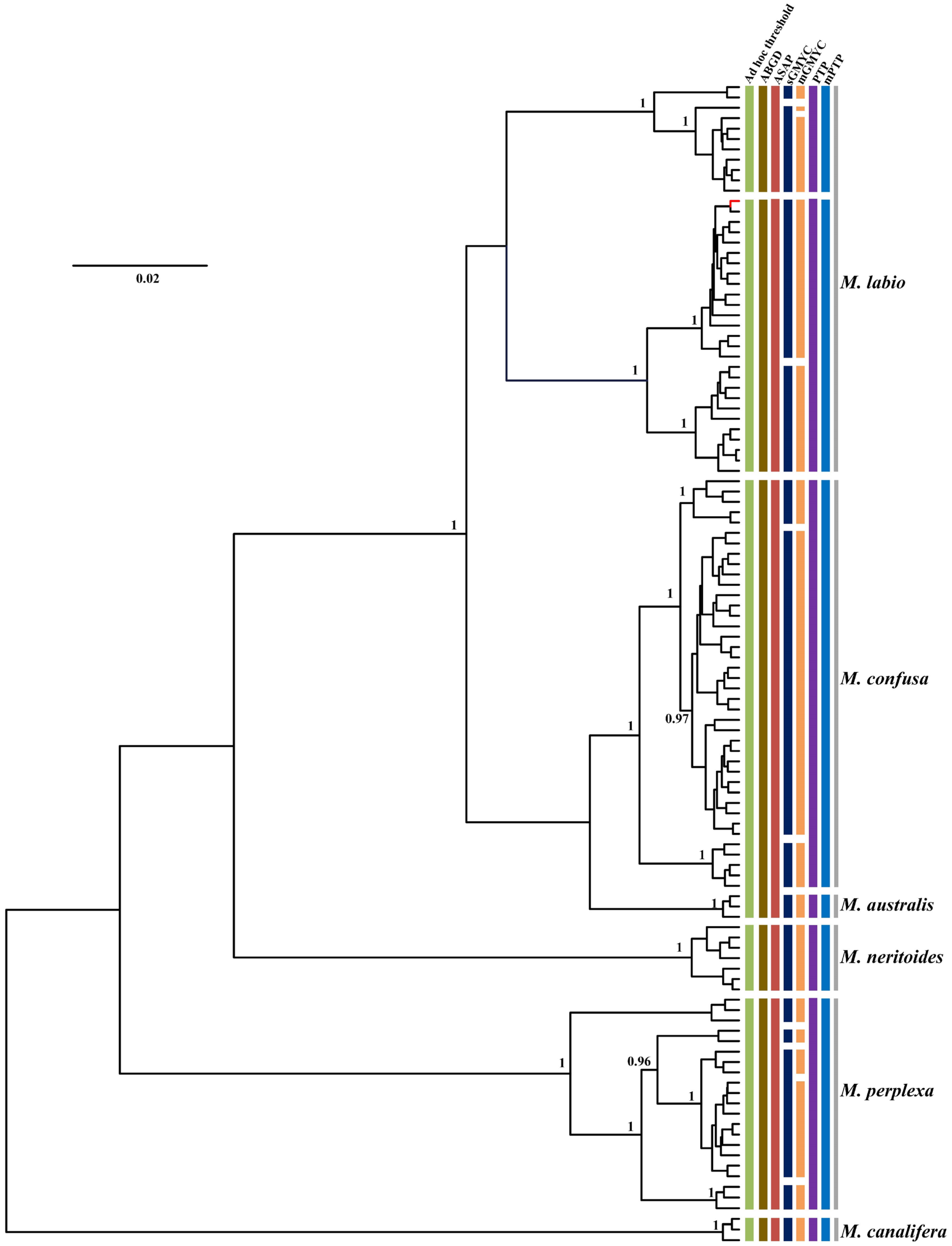 Genes 13 02273 g006 Genes 13 02273 g006