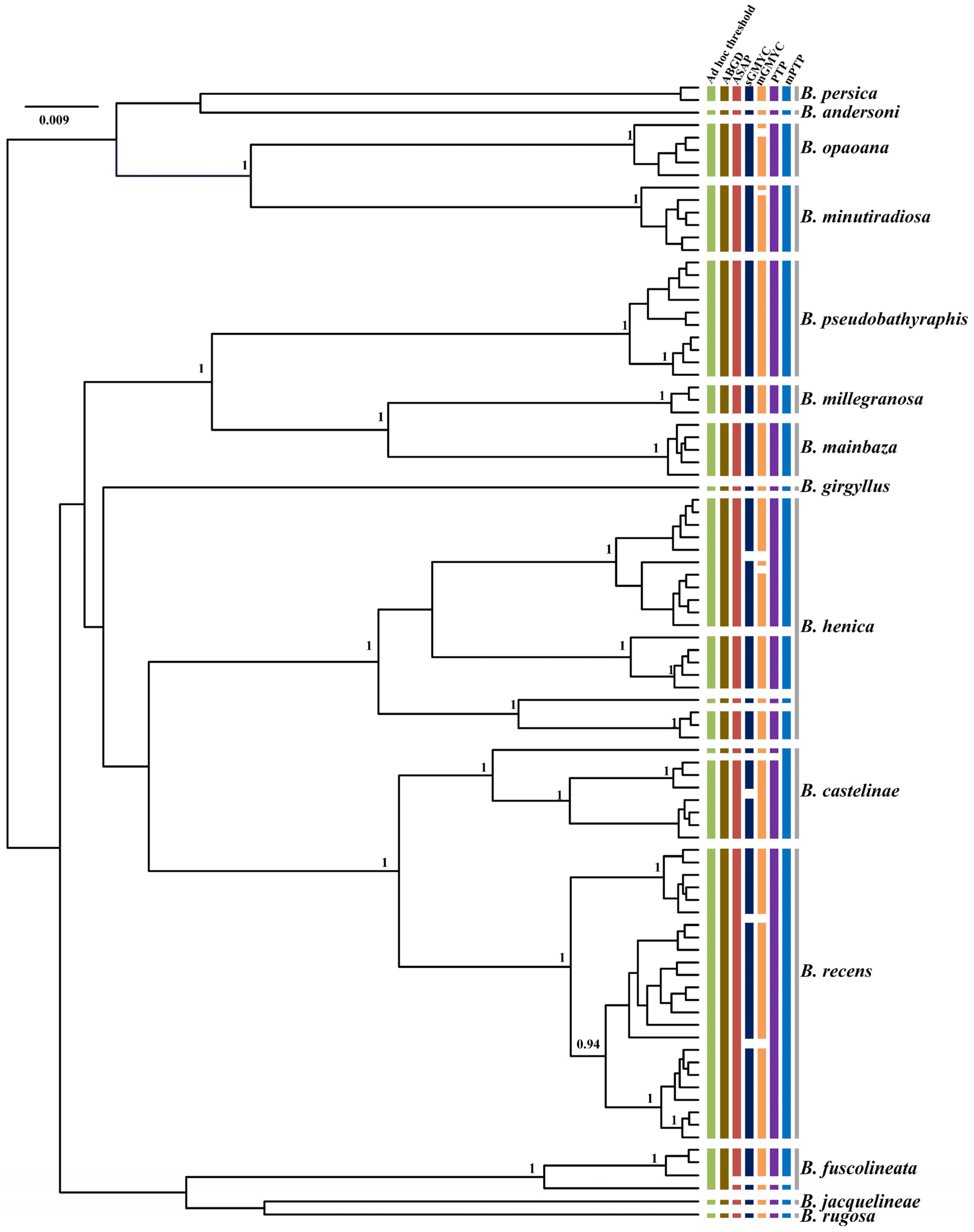 Genes 13 02273 g007 Genes 13 02273 g007