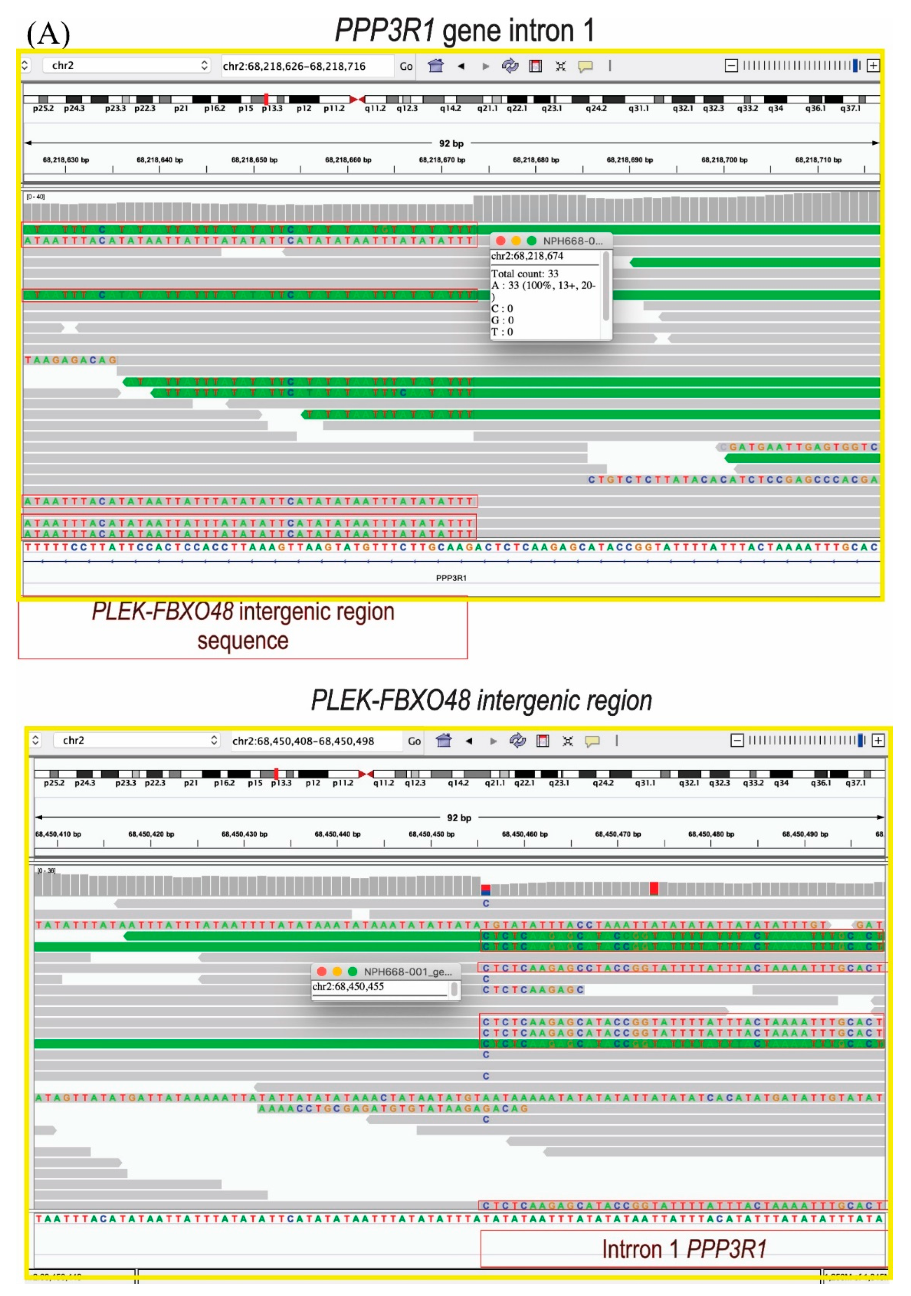 Genes 13 02274 g001a Genes 13 02274 g001a