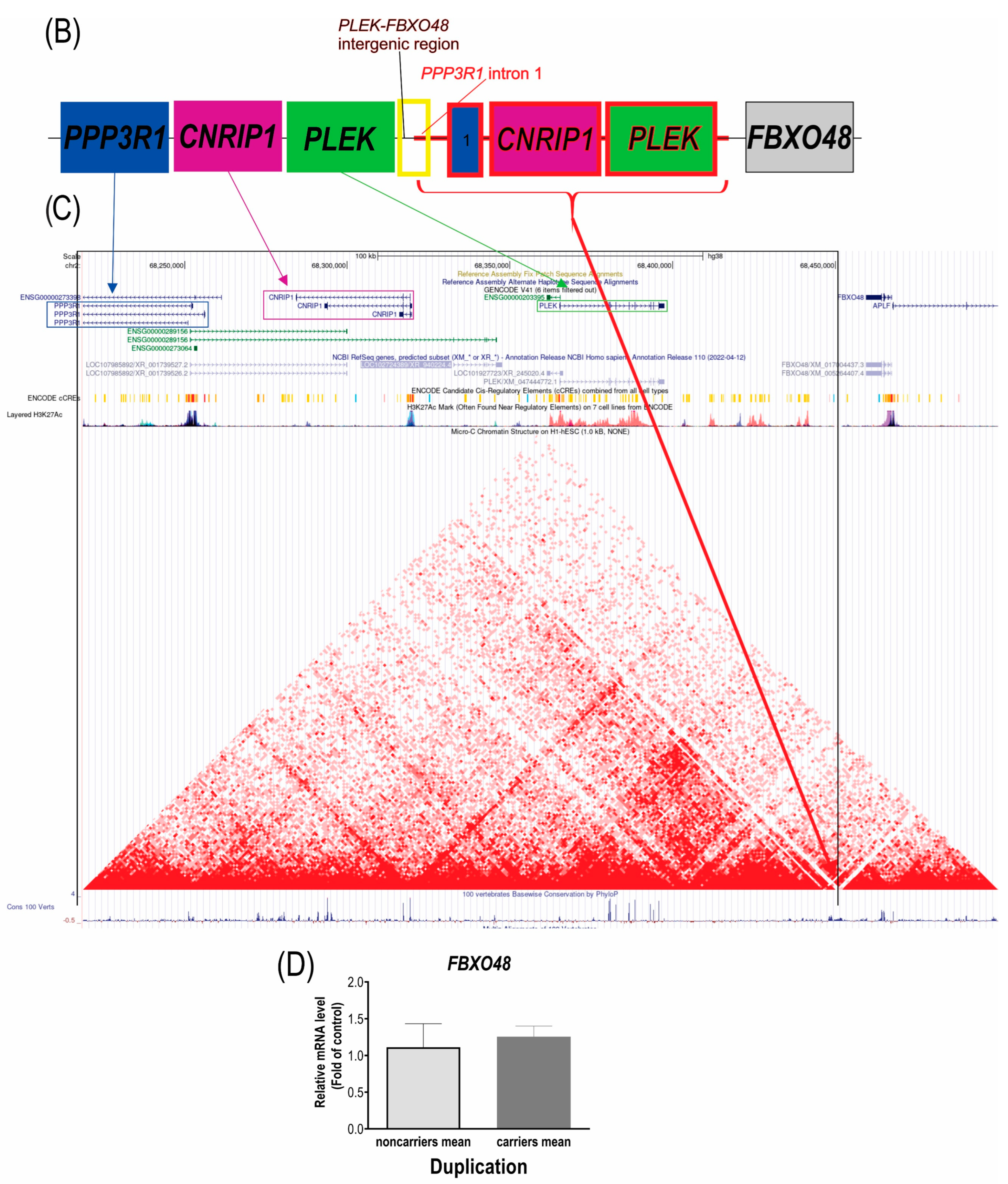 Genes 13 02274 g001b Genes 13 02274 g001b