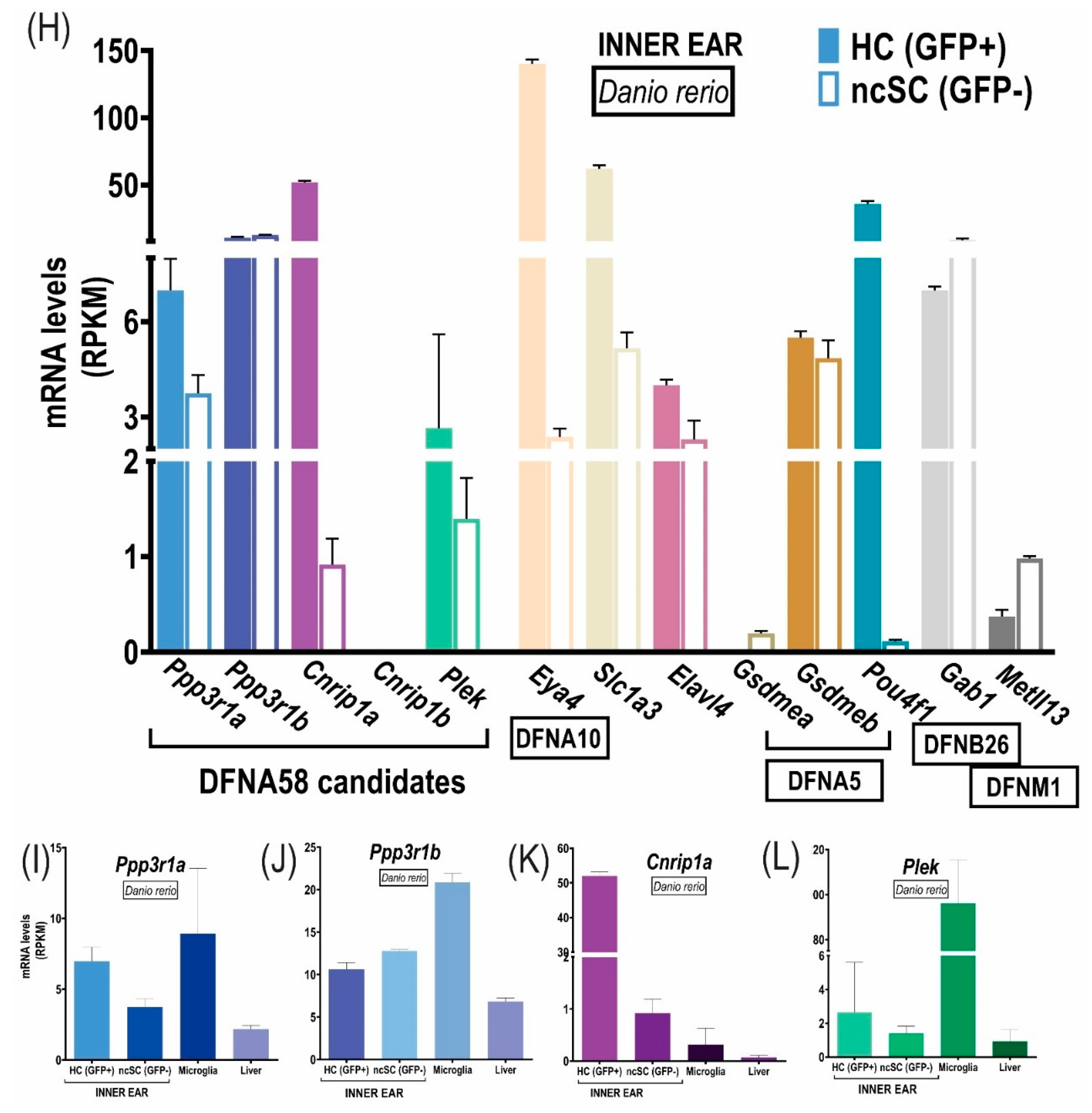 Genes 13 02274 g002b Genes 13 02274 g002b