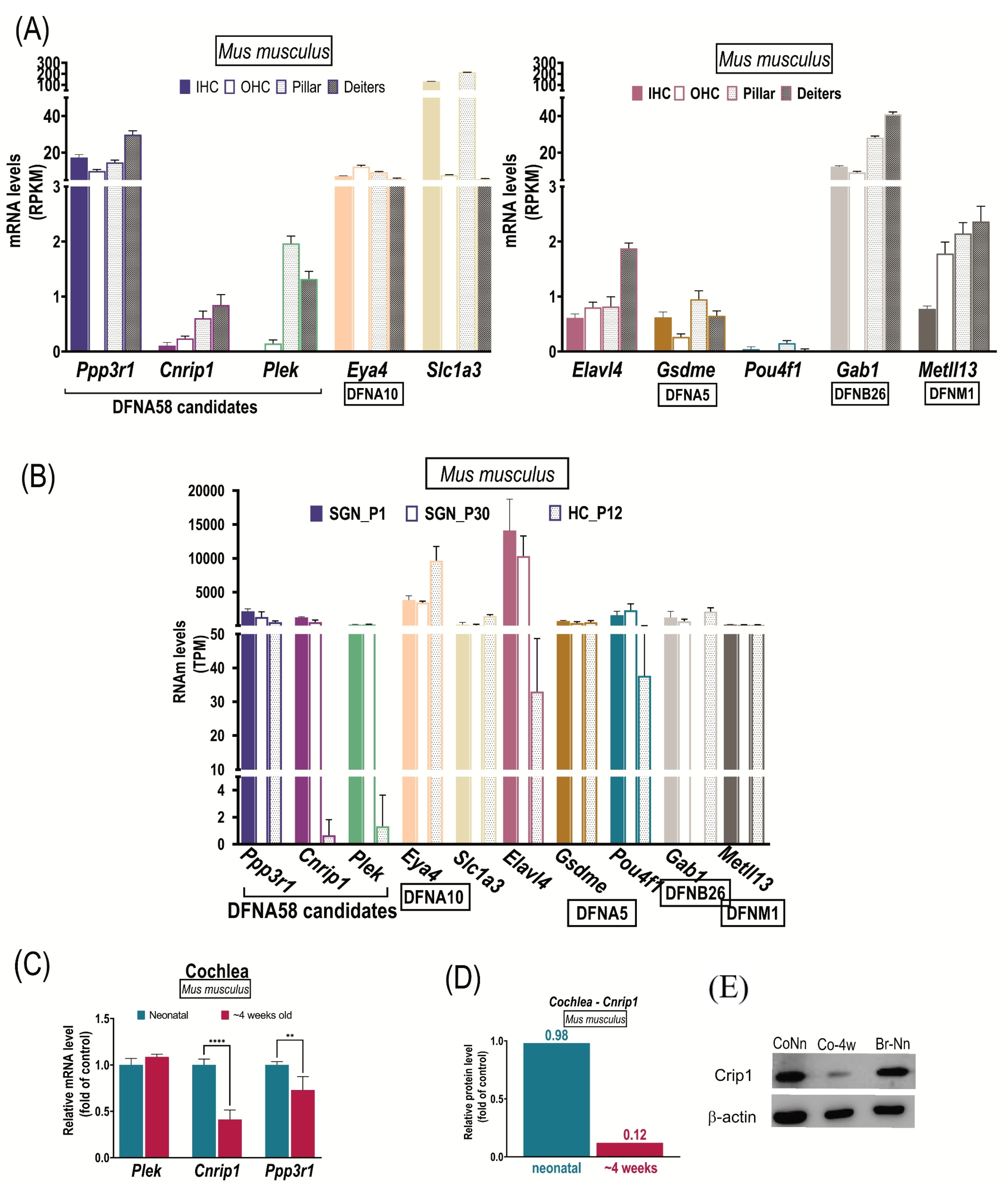 Genes 13 02274 g004 Genes 13 02274 g004