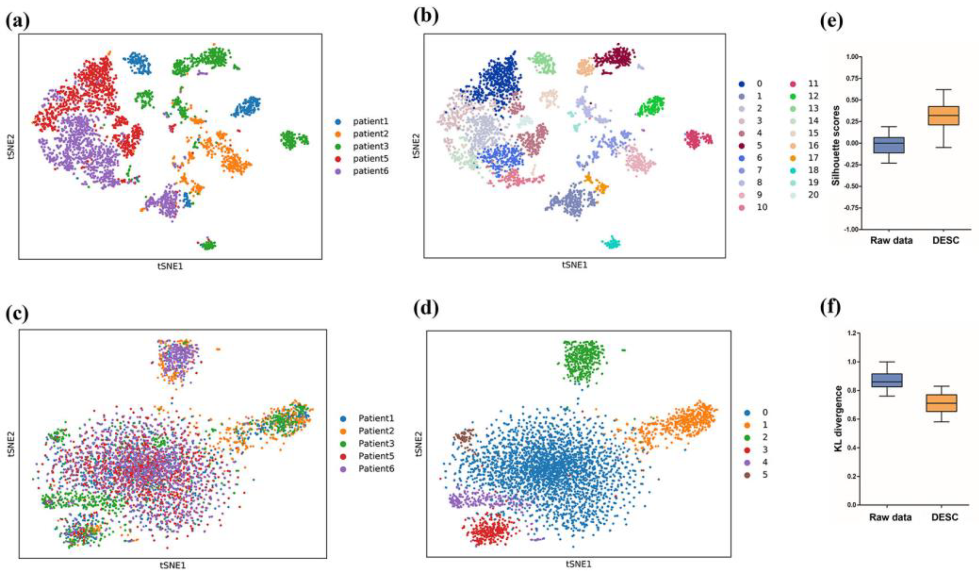Genes 13 02276 g001 Genes 13 02276 g001