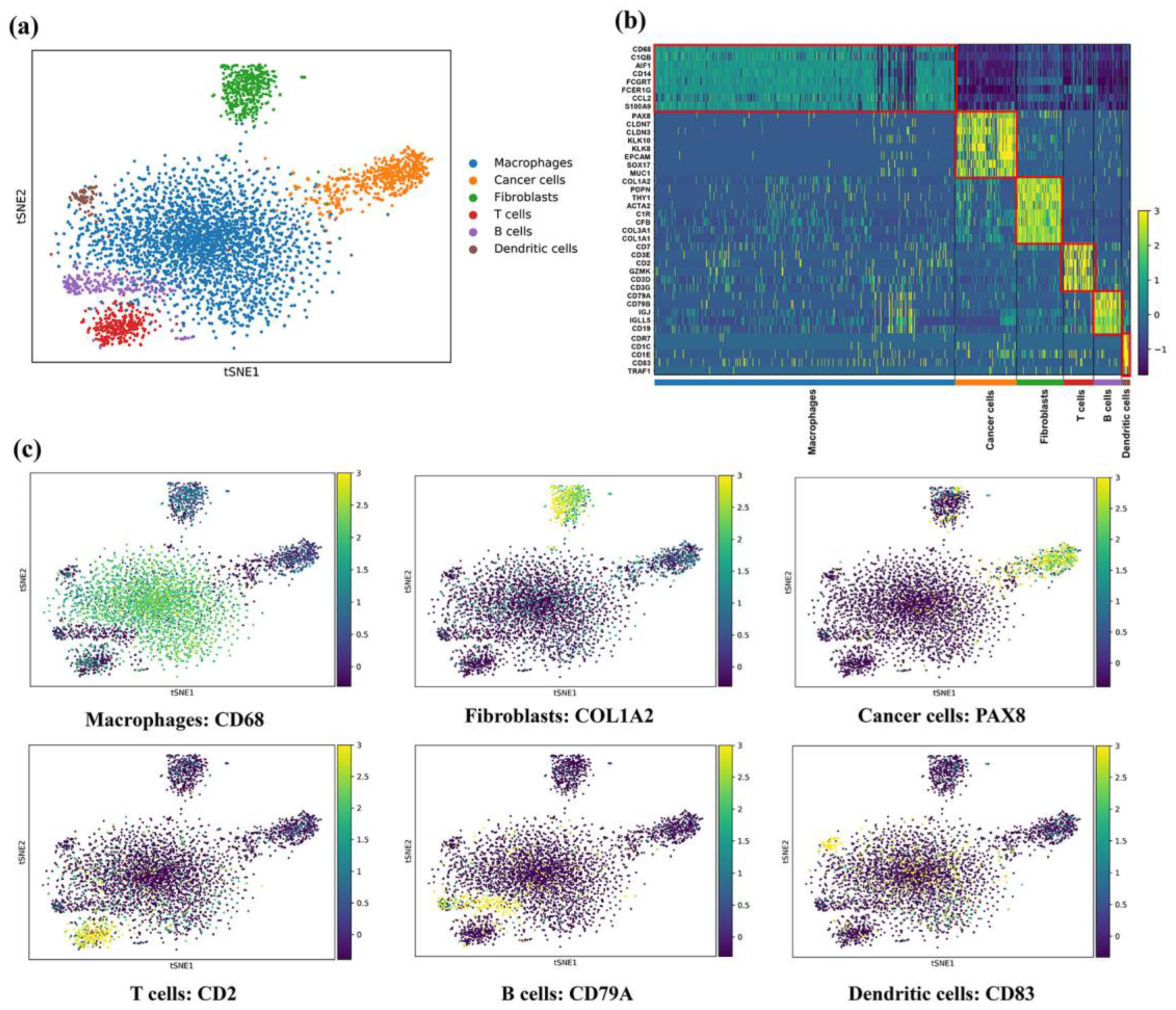 Genes 13 02276 g002 Genes 13 02276 g002