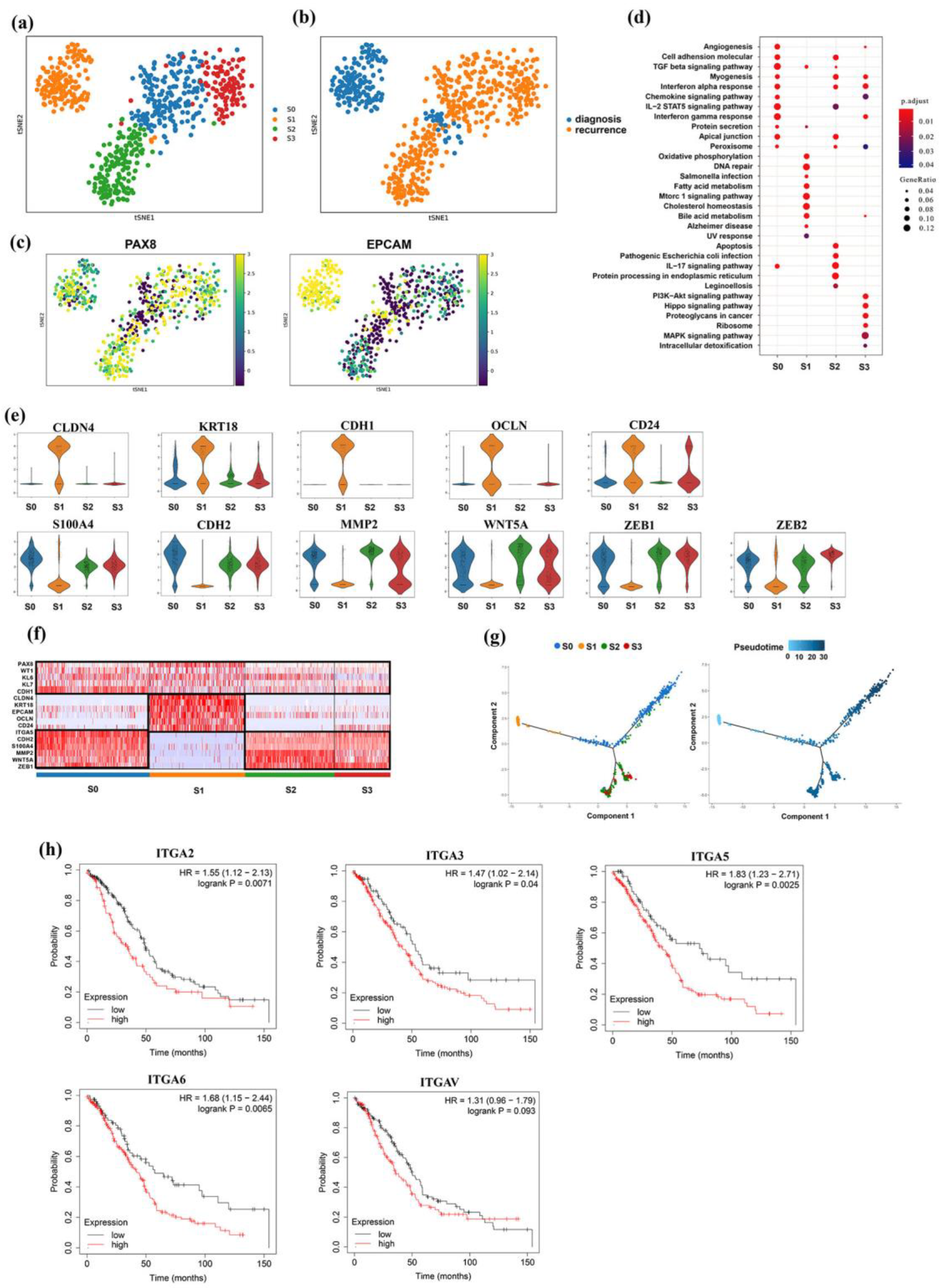 Genes 13 02276 g003 Genes 13 02276 g003