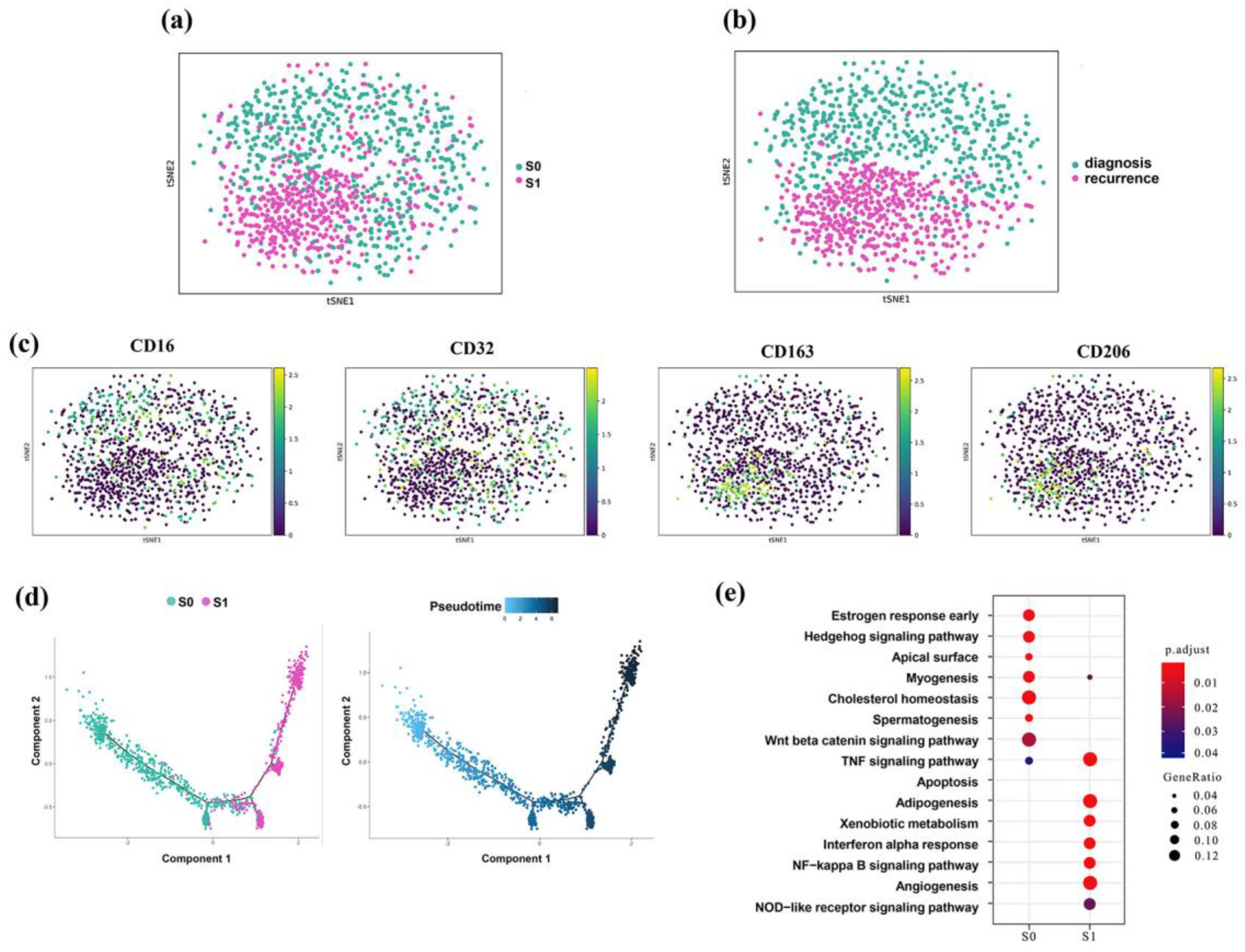 Genes 13 02276 g004 Genes 13 02276 g004