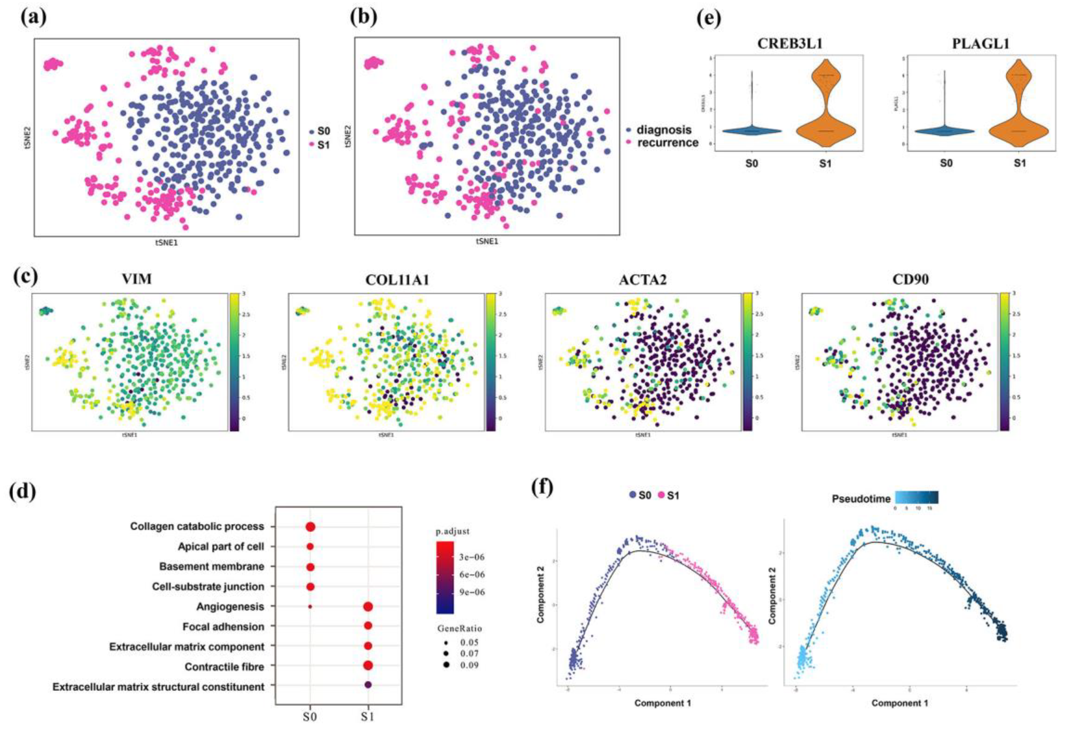 Genes 13 02276 g005 Genes 13 02276 g005