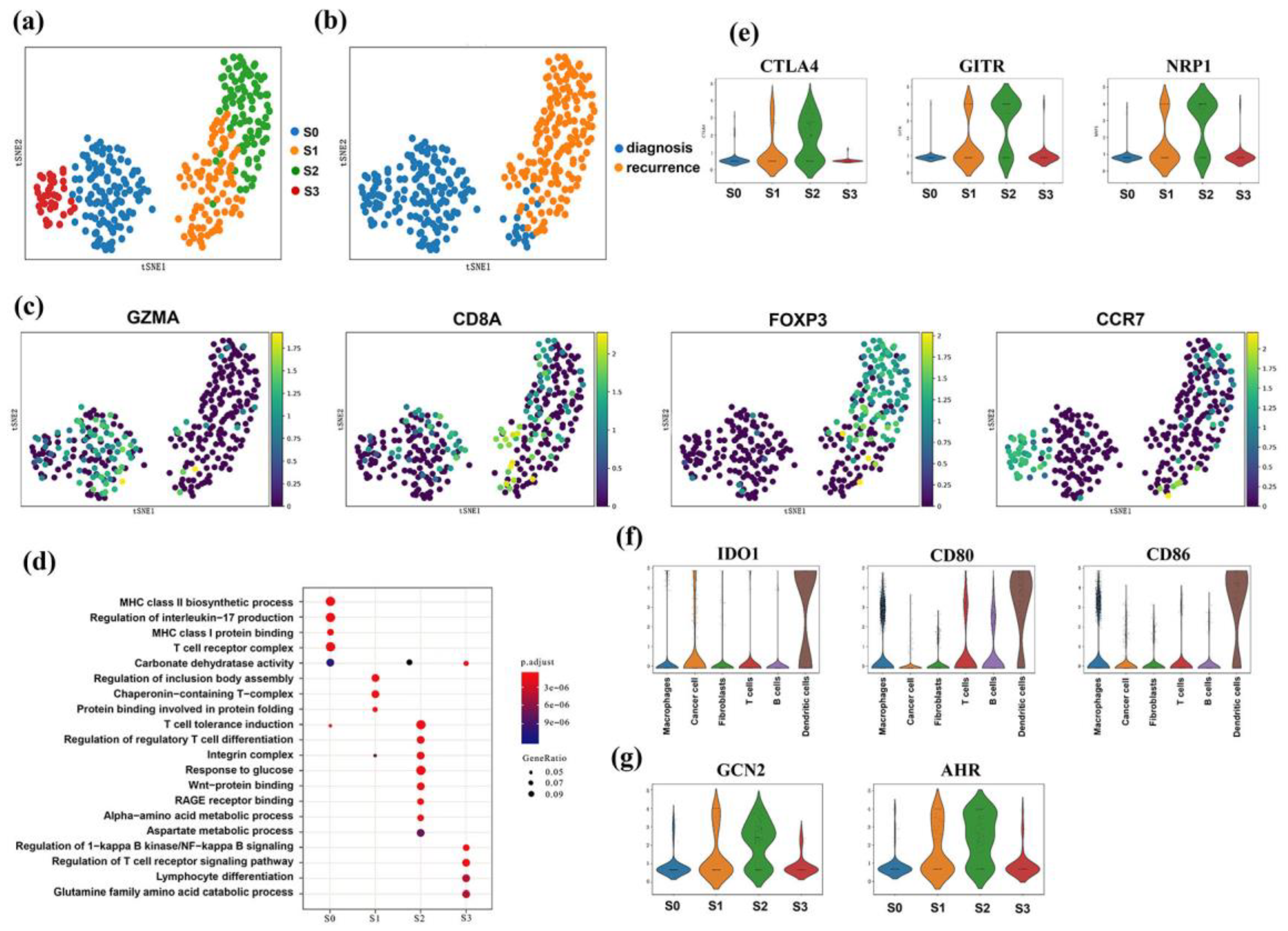 Genes 13 02276 g006 Genes 13 02276 g006