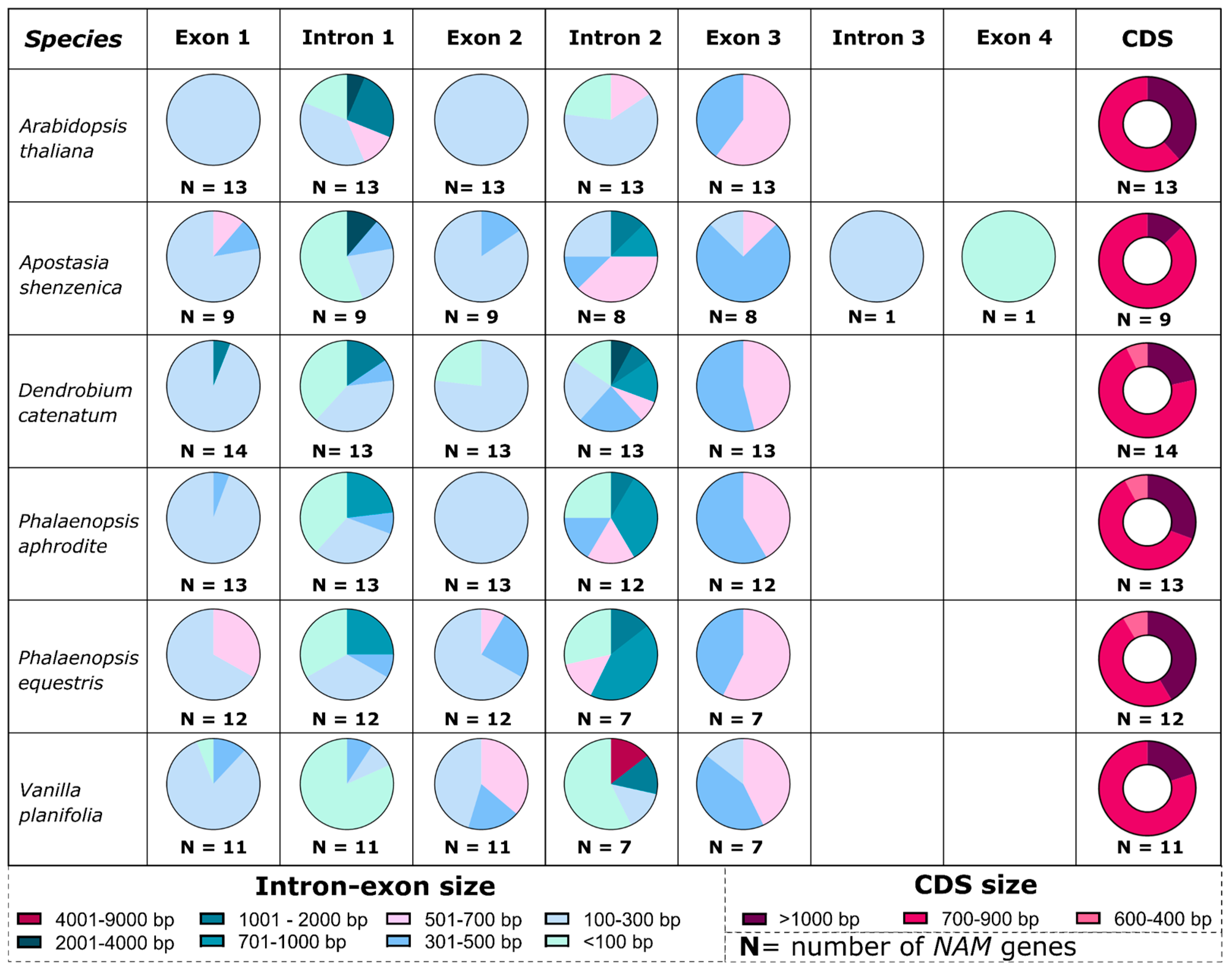 Genes 13 02293 g003 Genes 13 02293 g003