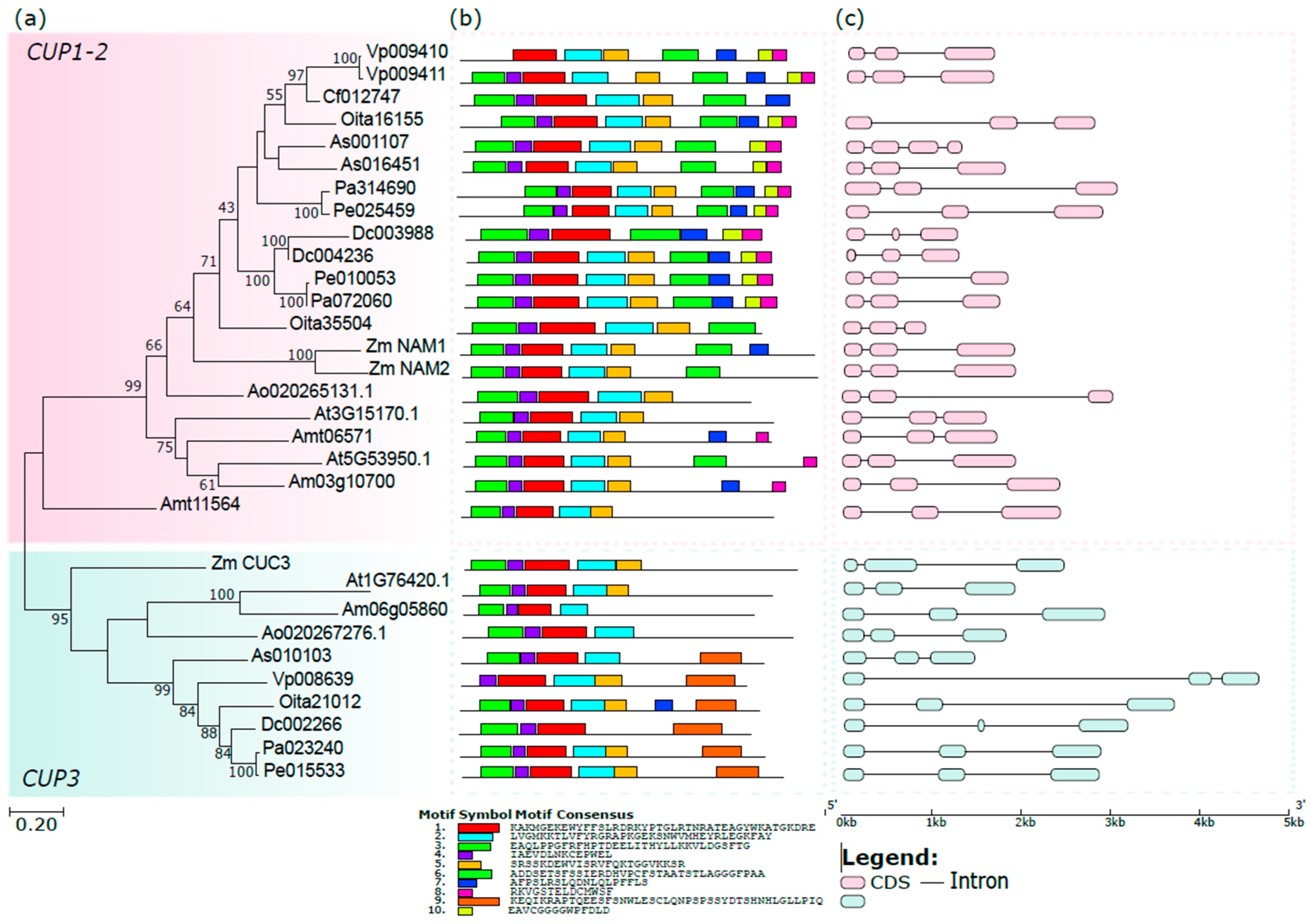 Genes 13 02293 g004 Genes 13 02293 g004