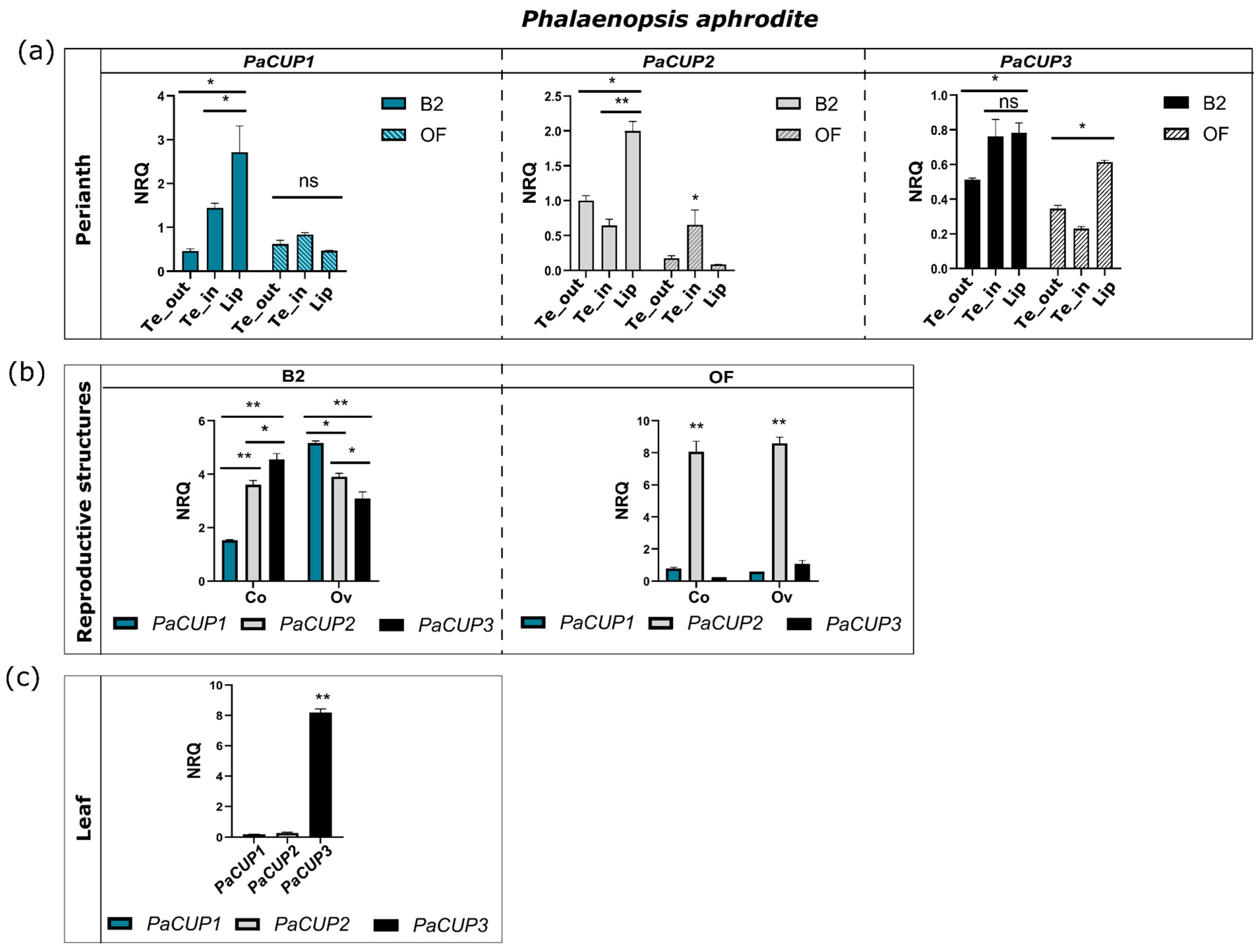 Genes 13 02293 g005 Genes 13 02293 g005