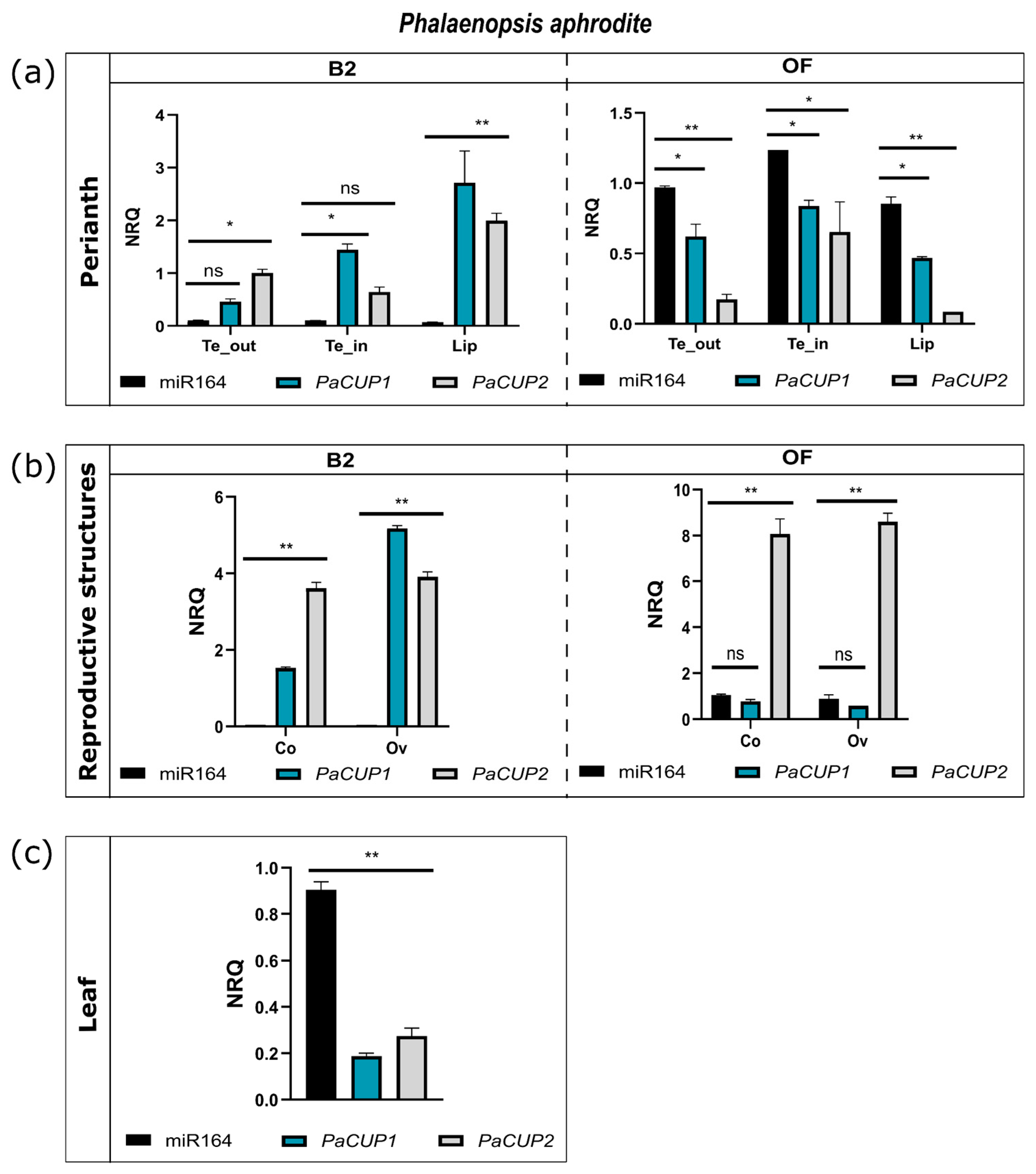 Genes 13 02293 g007 Genes 13 02293 g007