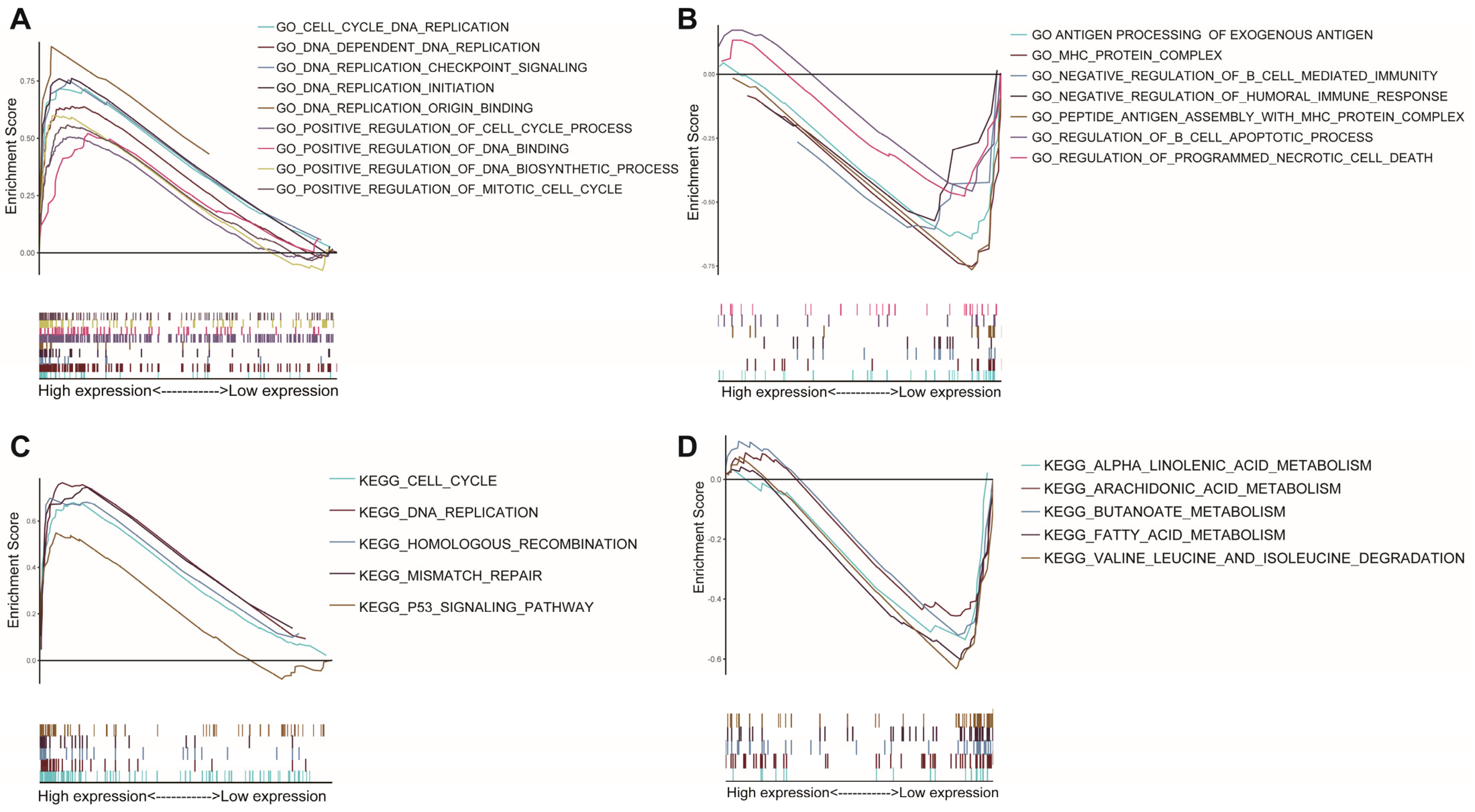 Genes 13 02295 g006 Genes 13 02295 g006