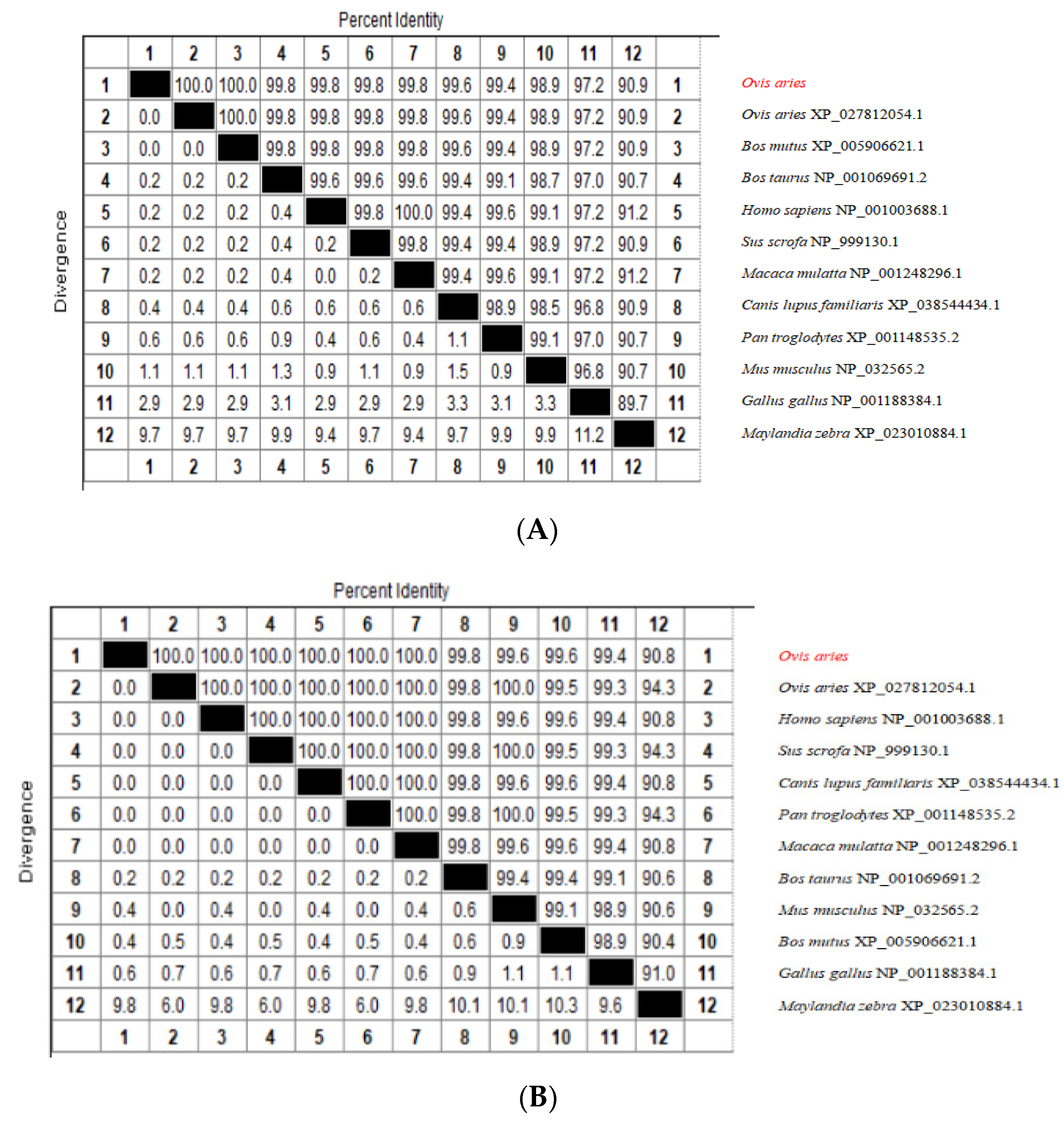 Genes 13 02307 g001a Genes 13 02307 g001a