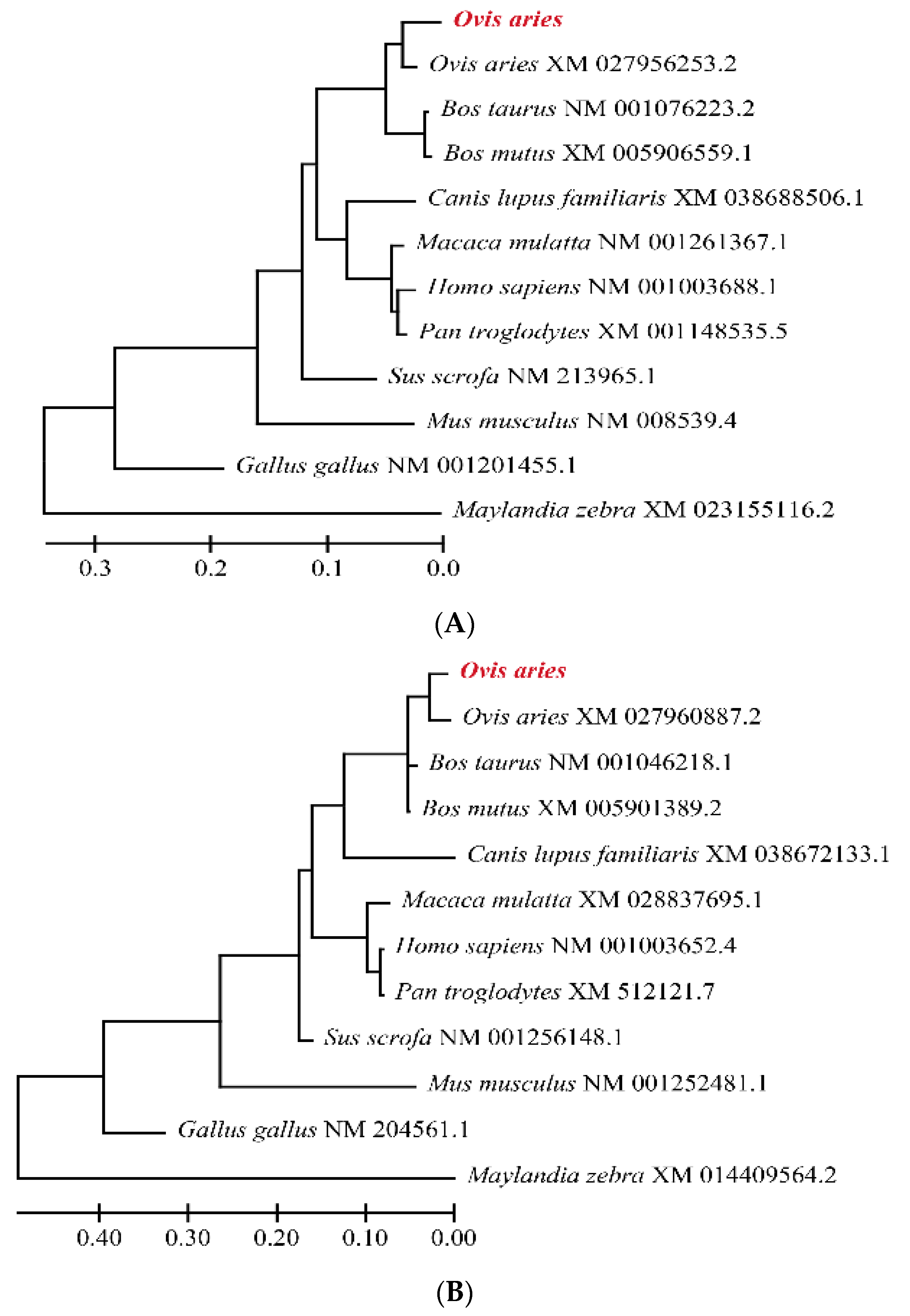 Genes 13 02307 g002a Genes 13 02307 g002a